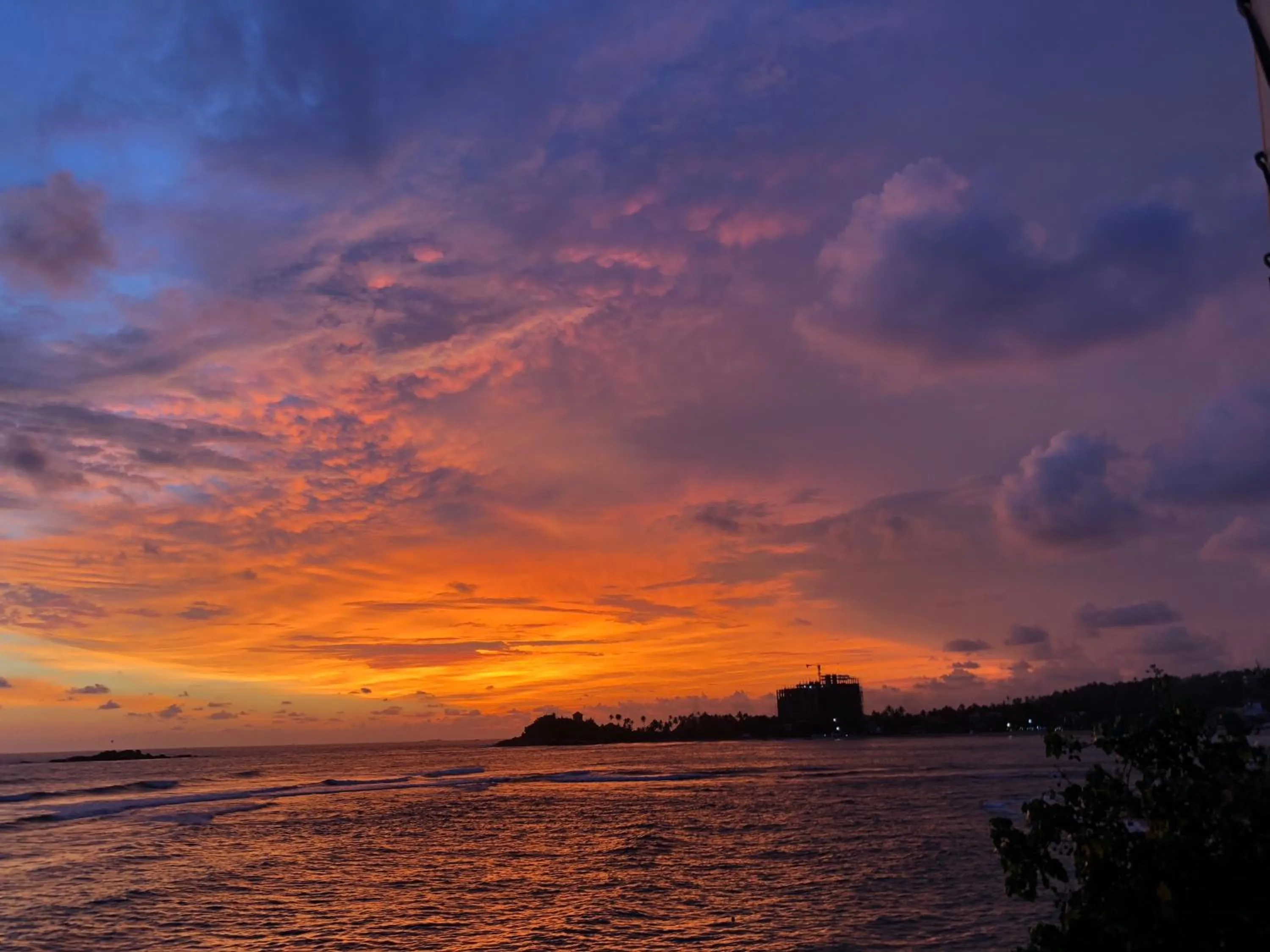 Garden in Galle Henna Beach House