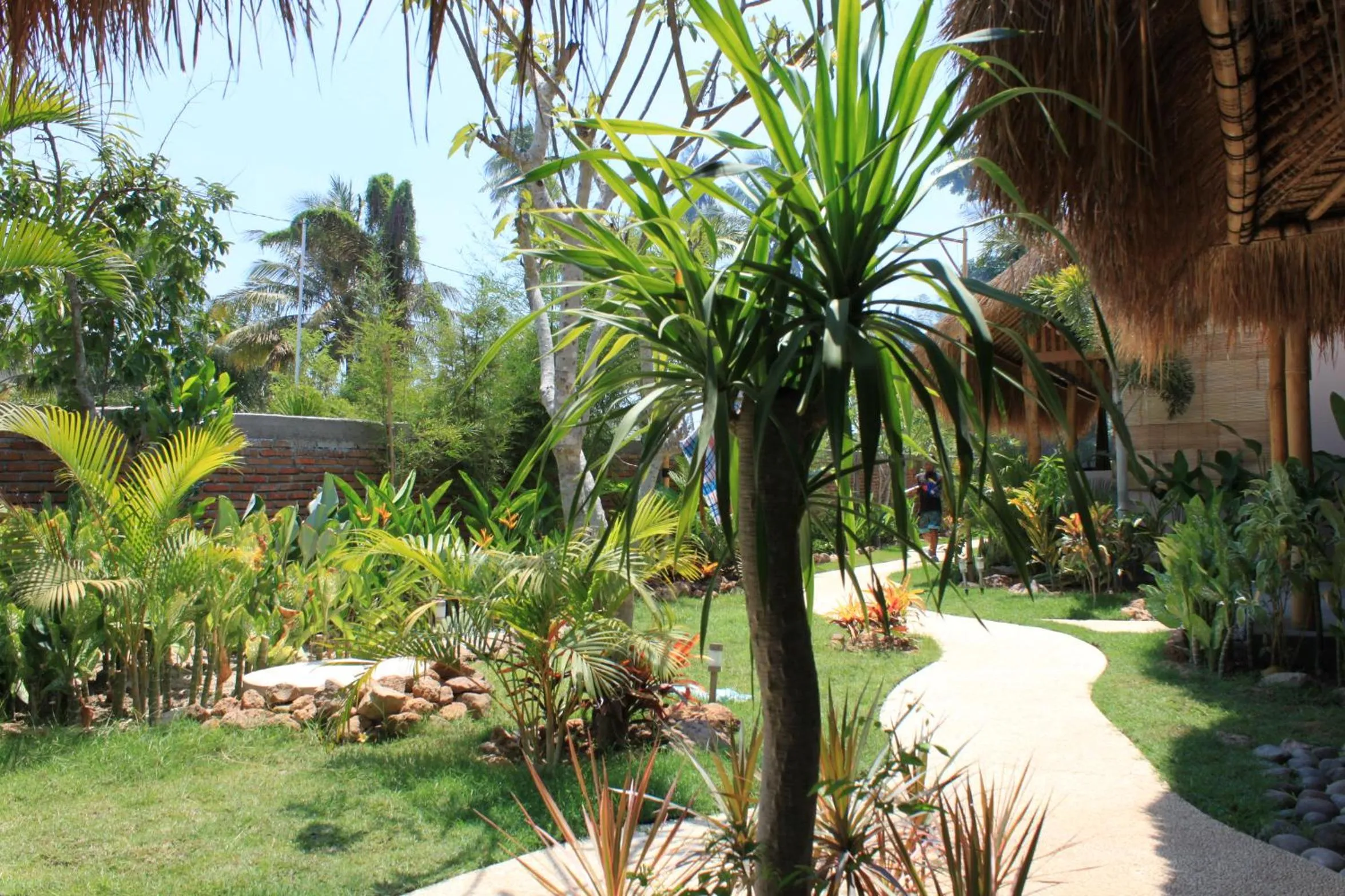 Garden view in Albany Home Stay