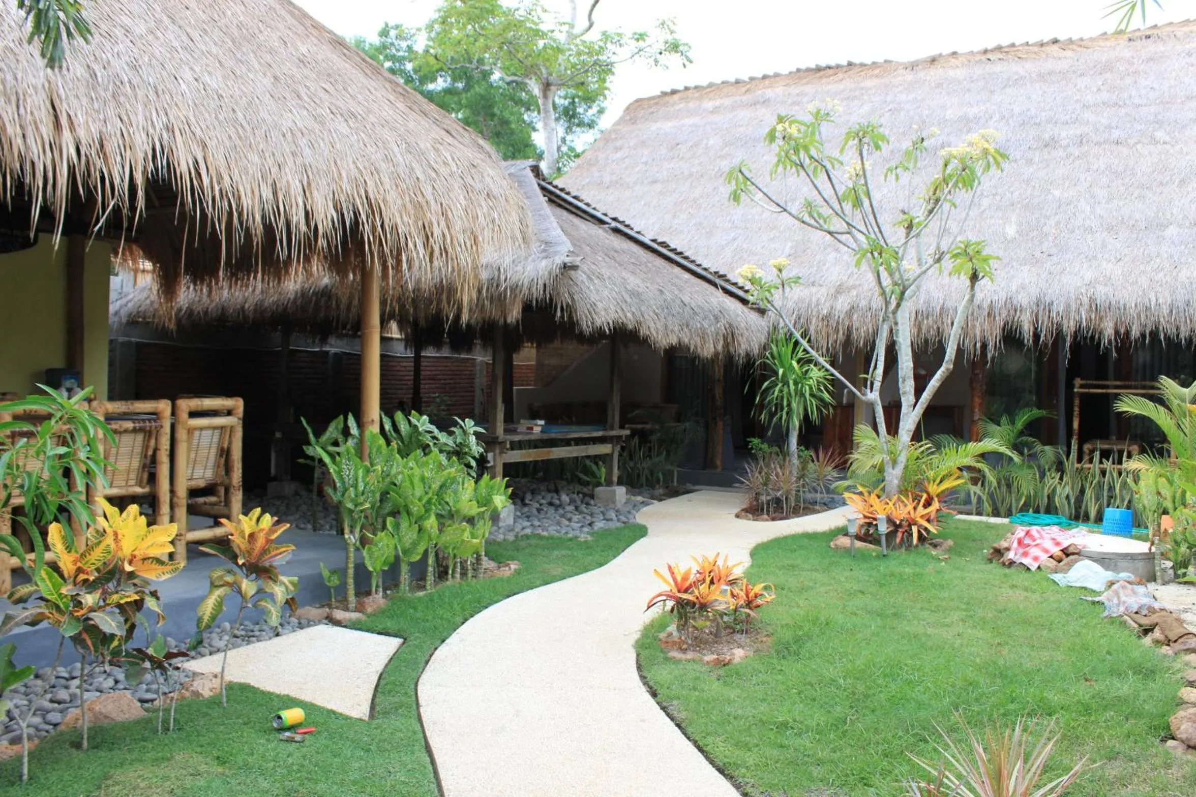 Garden in Albany Home Stay