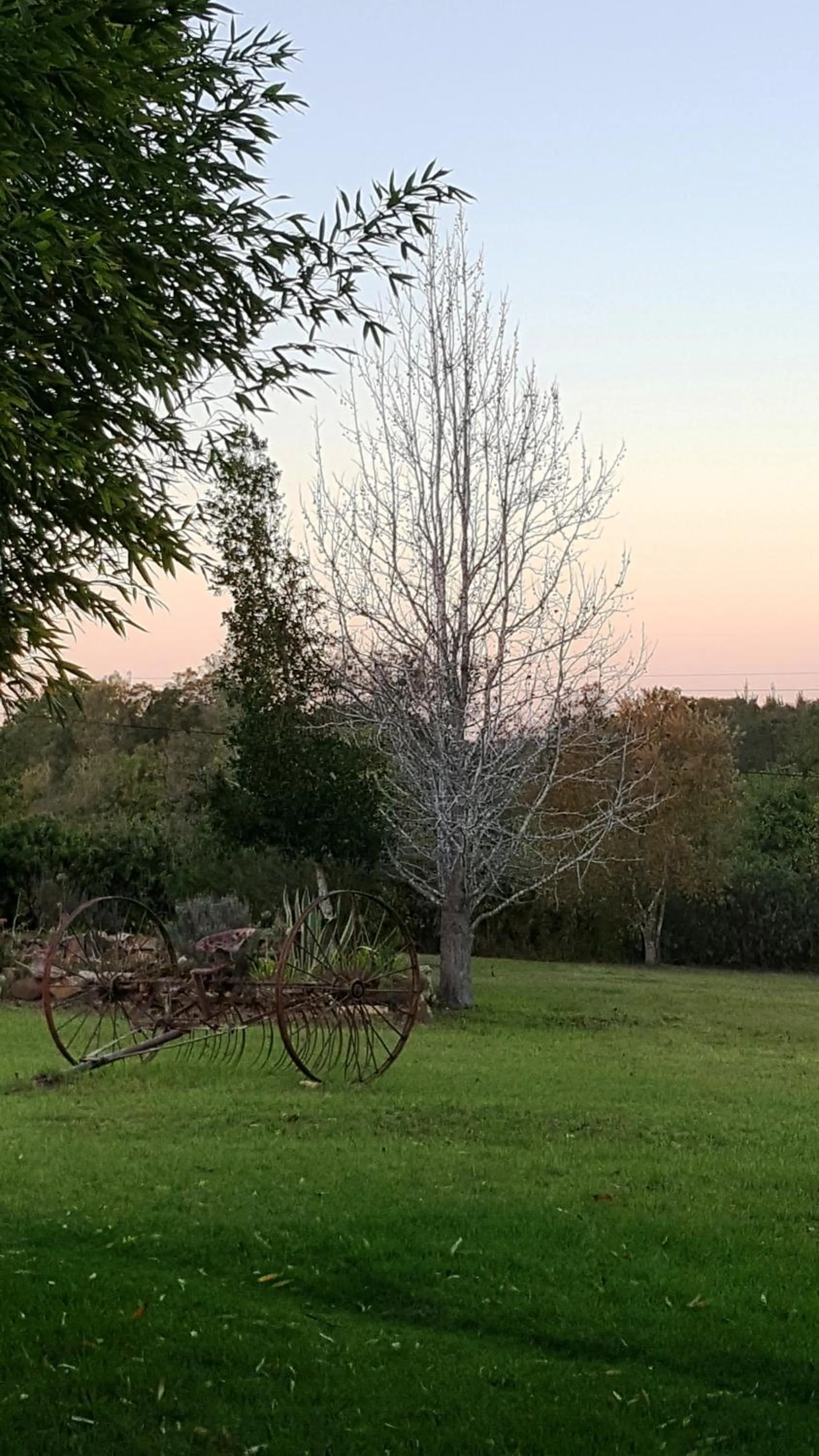 View (from property/room) in Bella Manga Country Escape