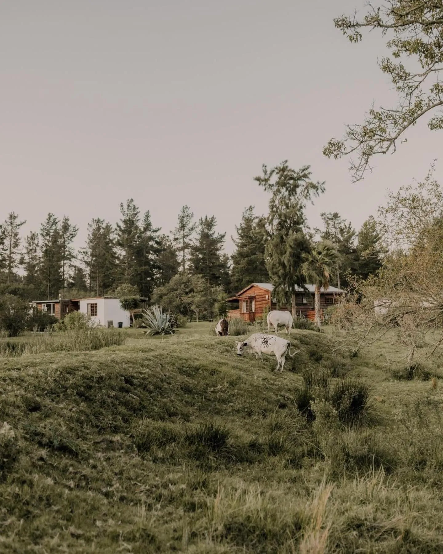 Natural landscape in Bella Manga Country Escape