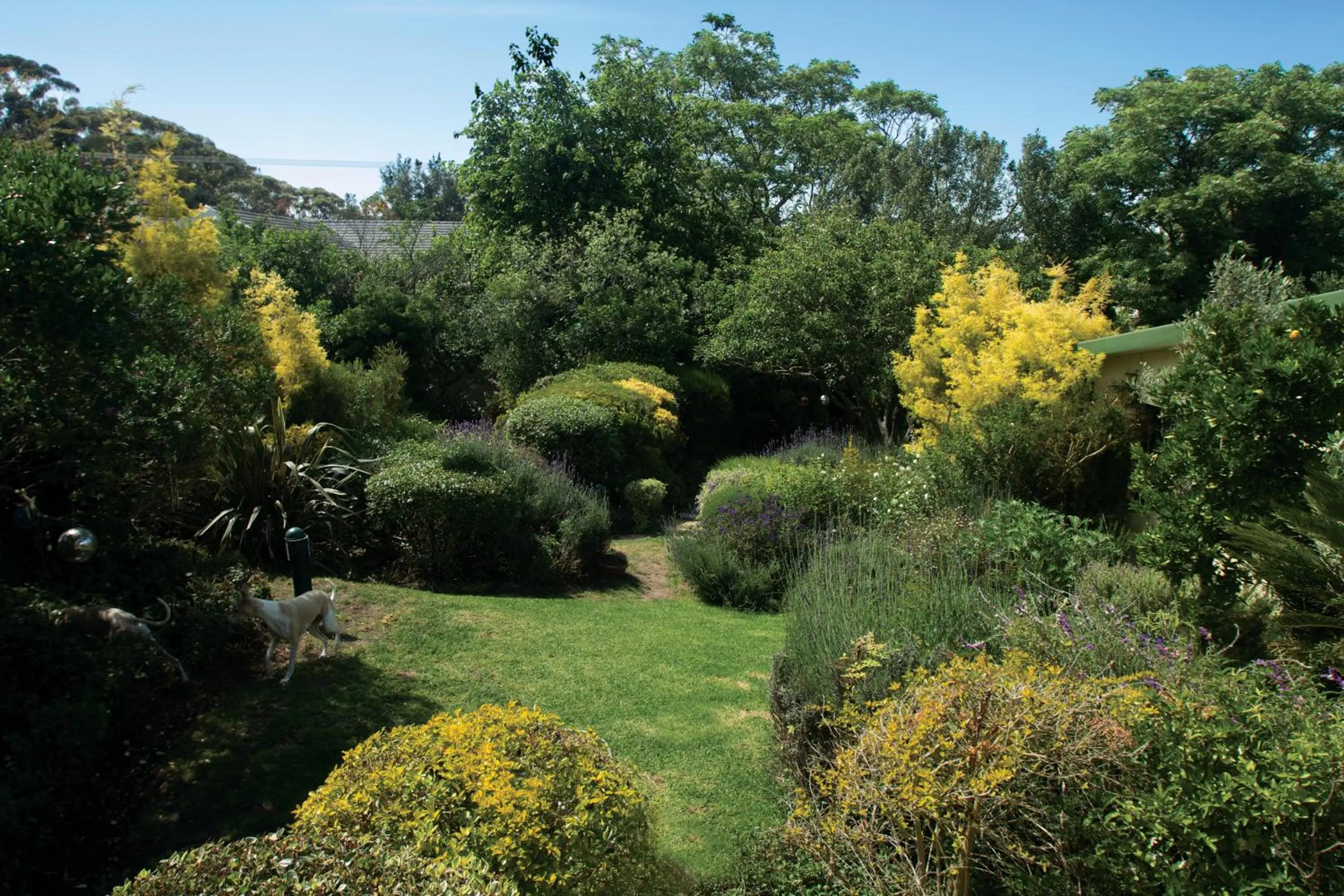 Garden in Villa Pascal Guest House