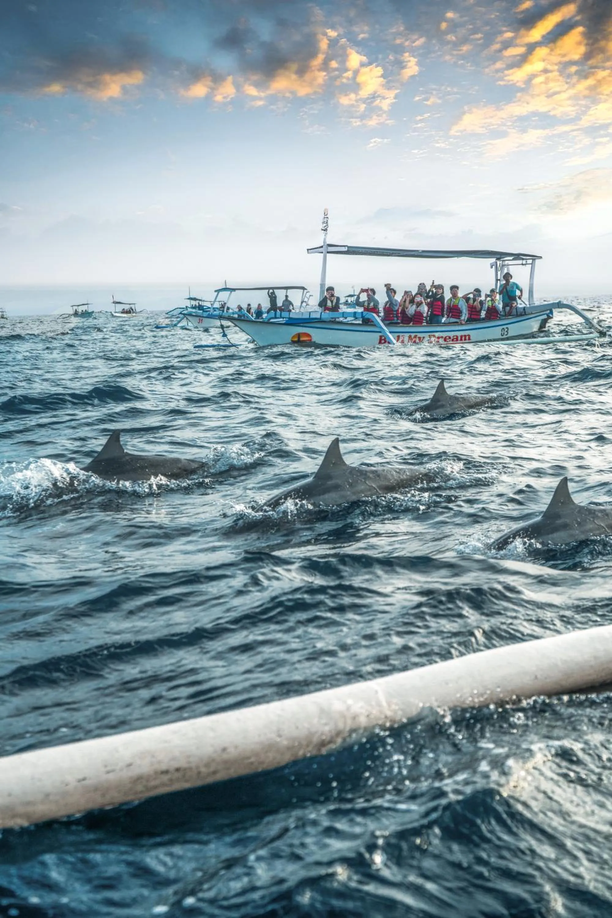 Activities in Lovina Beach Club & Resort