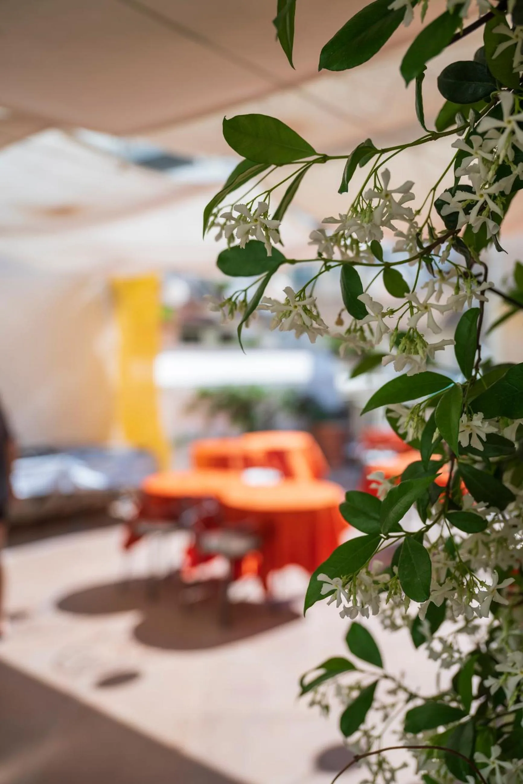 Breakfast in Hotel Antica Repubblica in Amalfi center at 100mt from the sea
