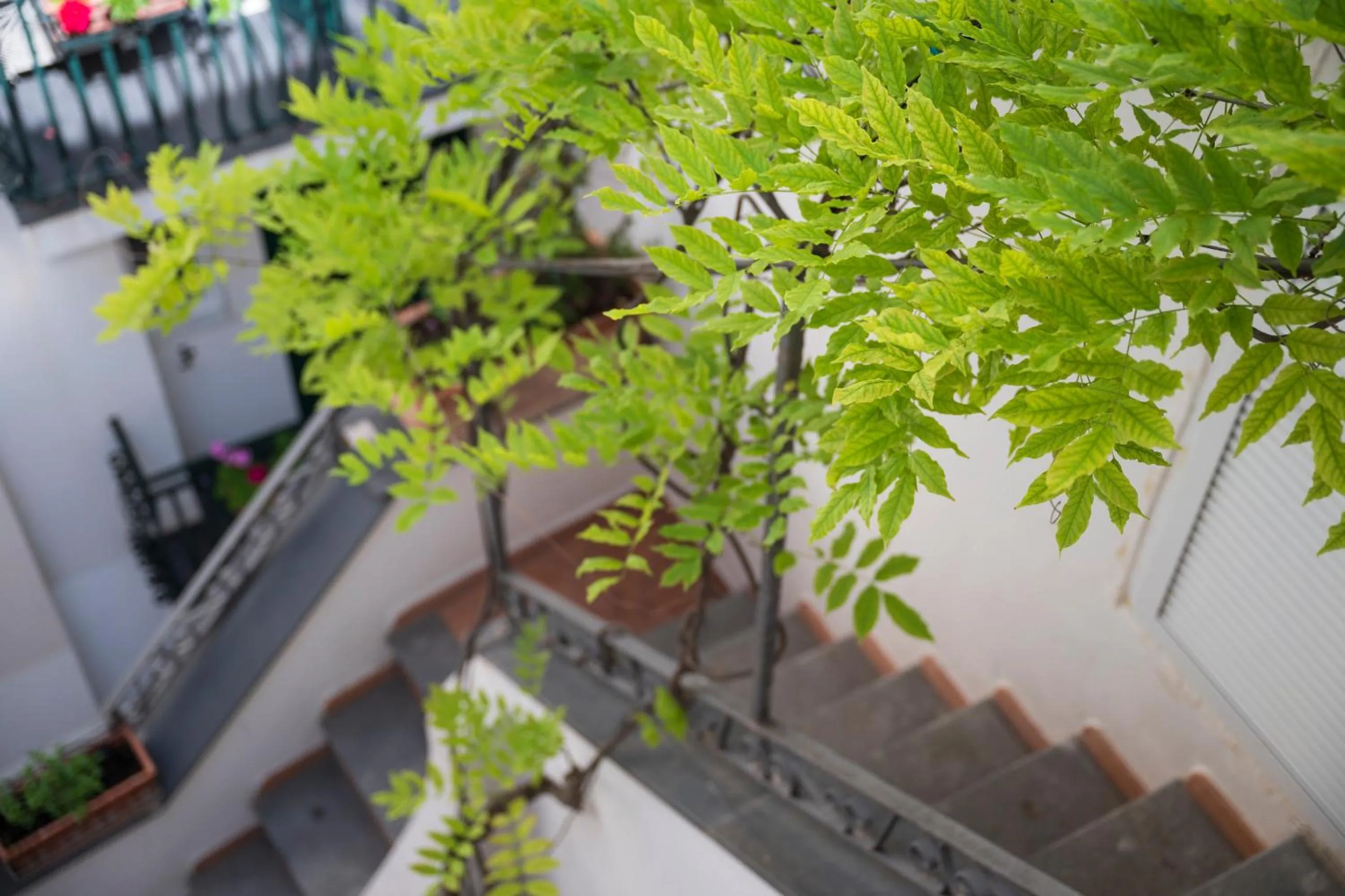 Breakfast in Hotel Antica Repubblica in Amalfi center at 100mt from the sea