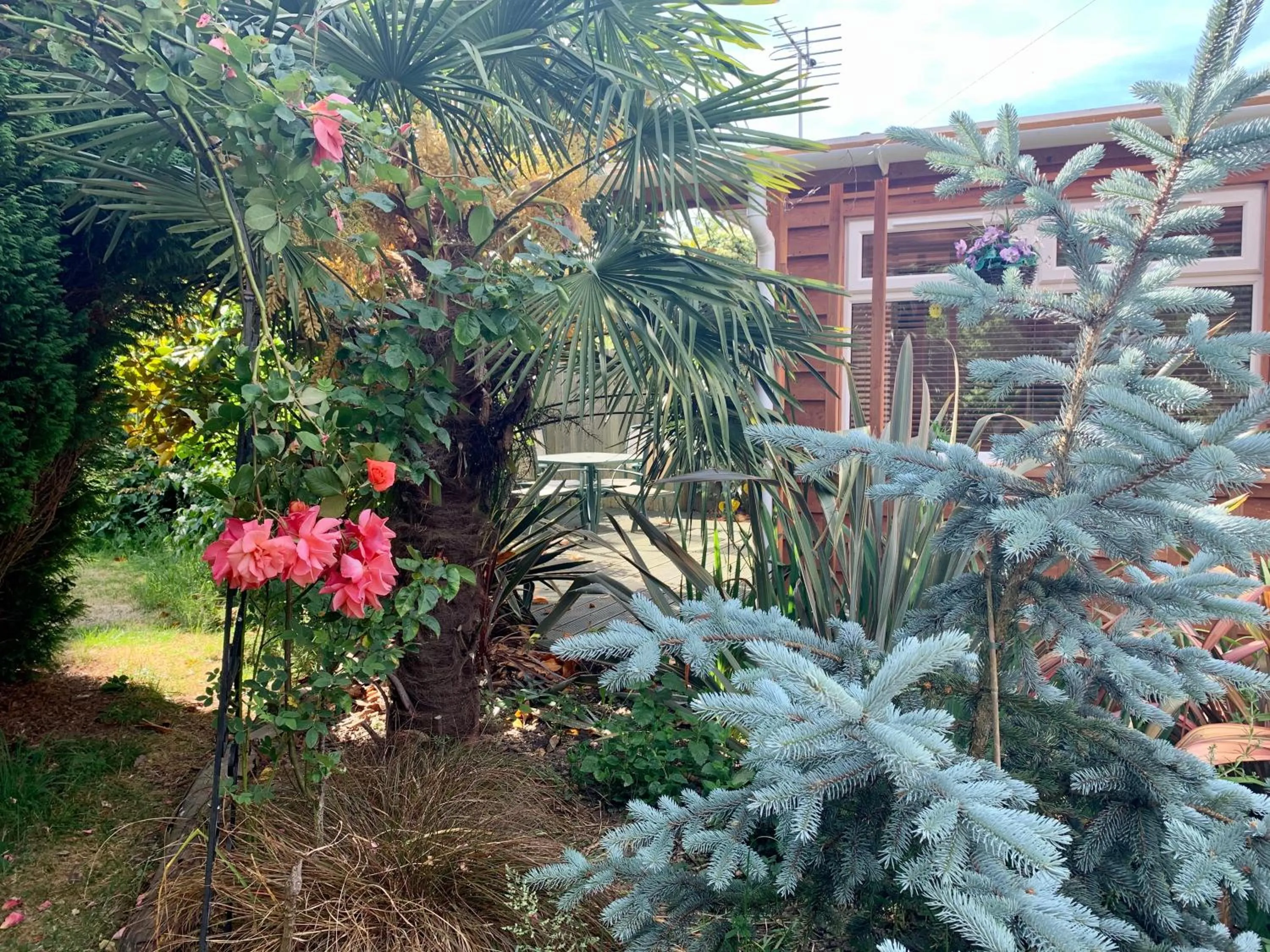 Garden in Woodpaddock Bed & Breakfast