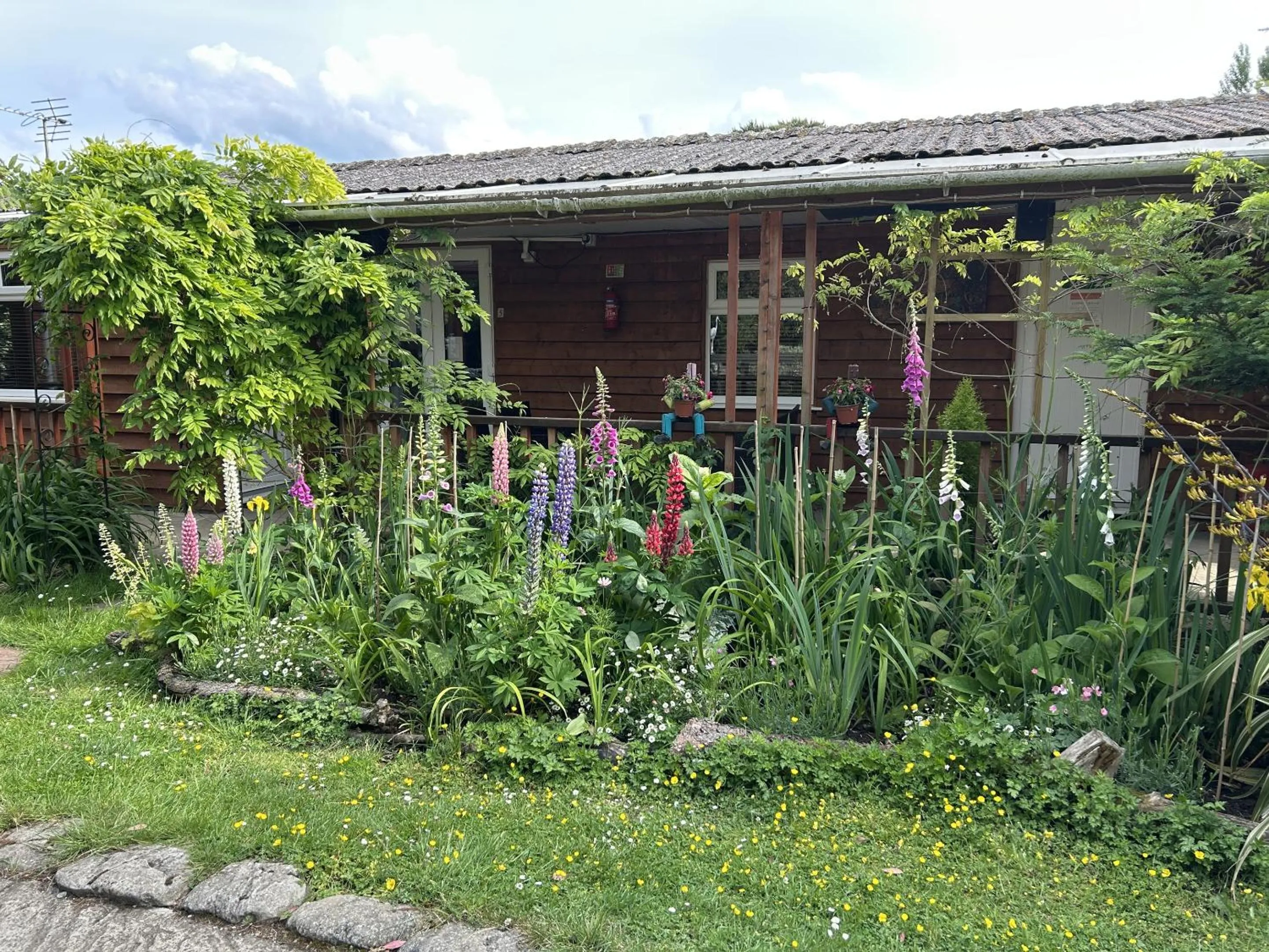 Garden in Woodpaddock Bed & Breakfast