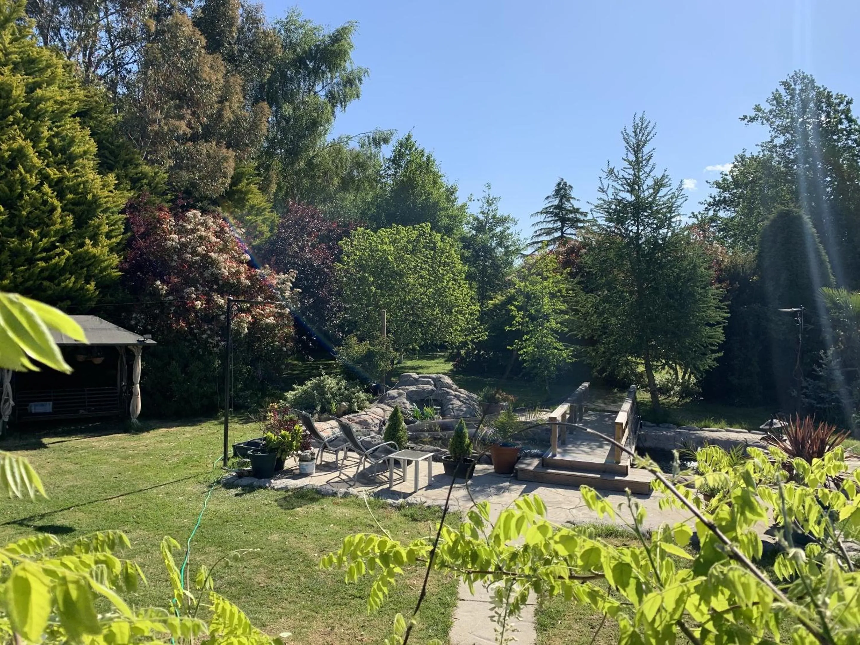 Garden in Woodpaddock Bed & Breakfast