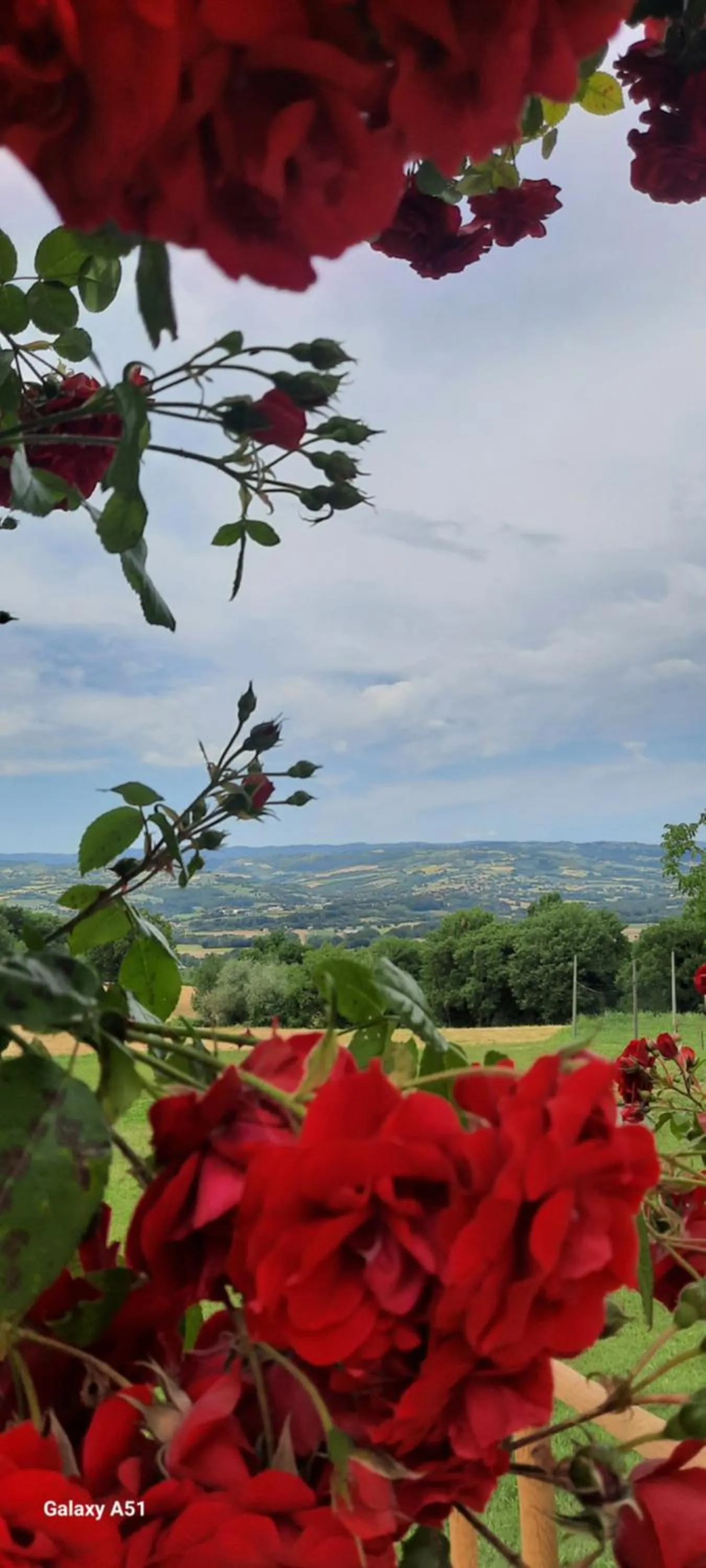 Agriturismo Il Truffarello TODI
