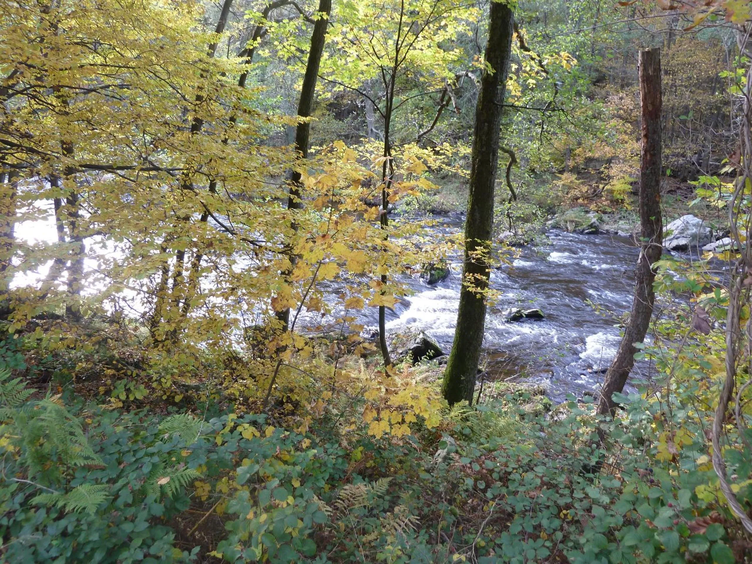 Hiking in La Couette de l'Ours
