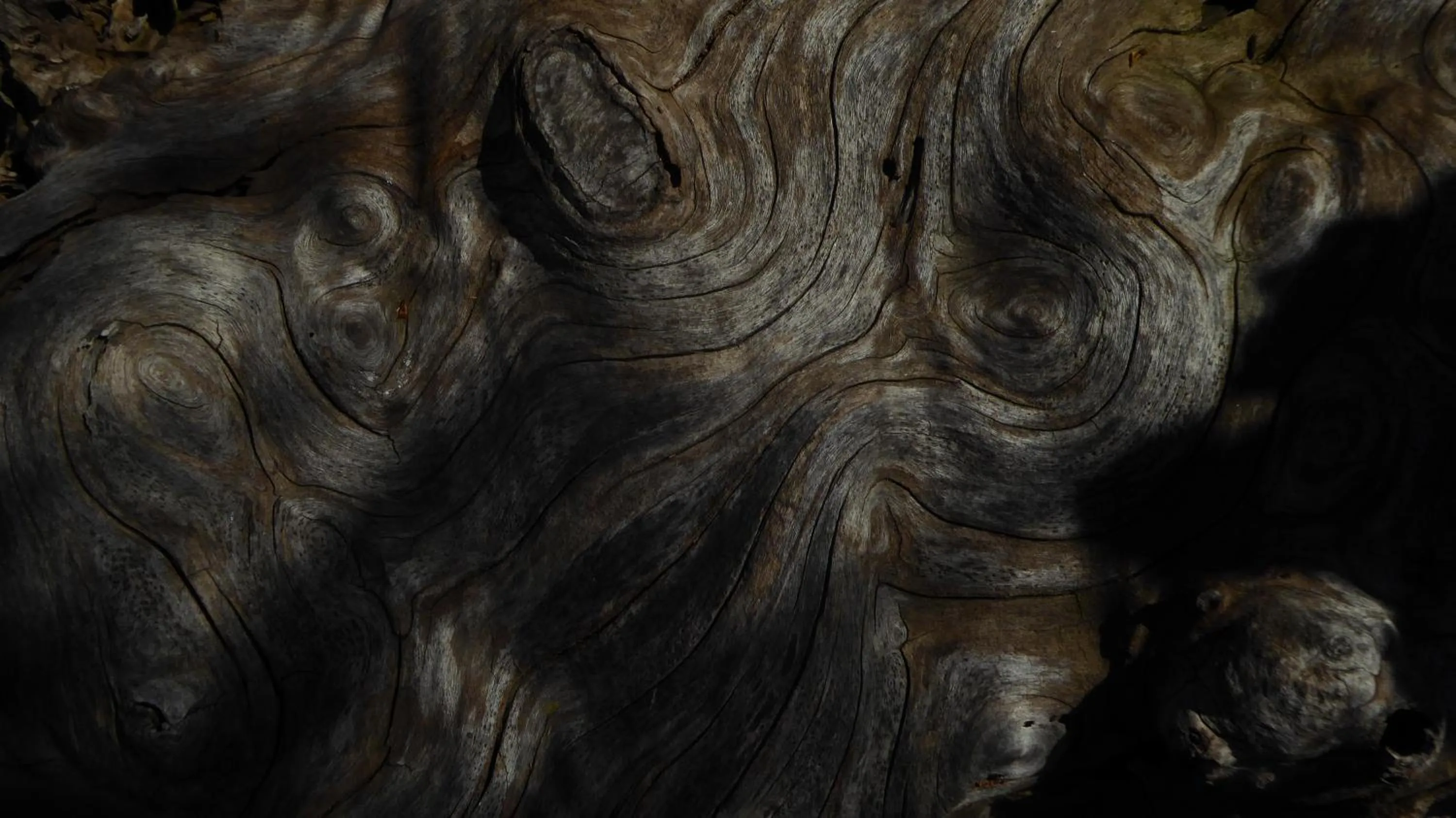 Garden in La Couette de l'Ours