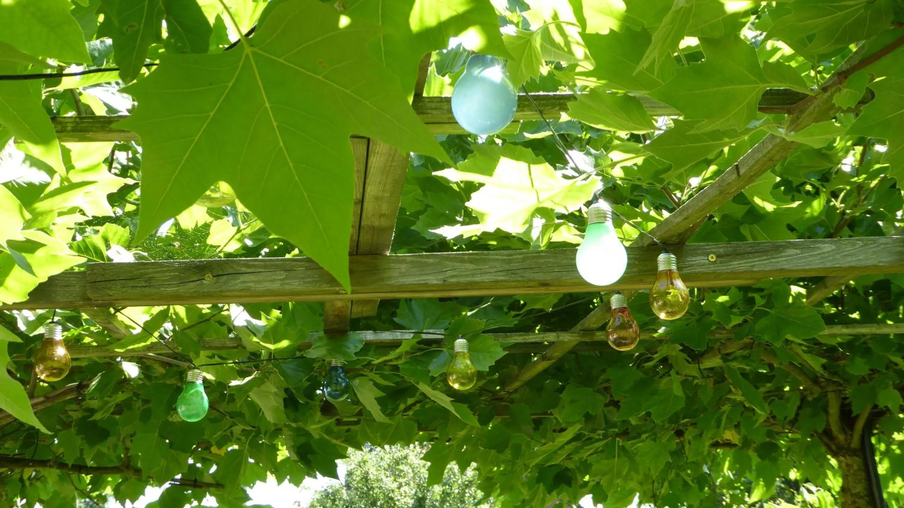 Garden in La Couette de l'Ours