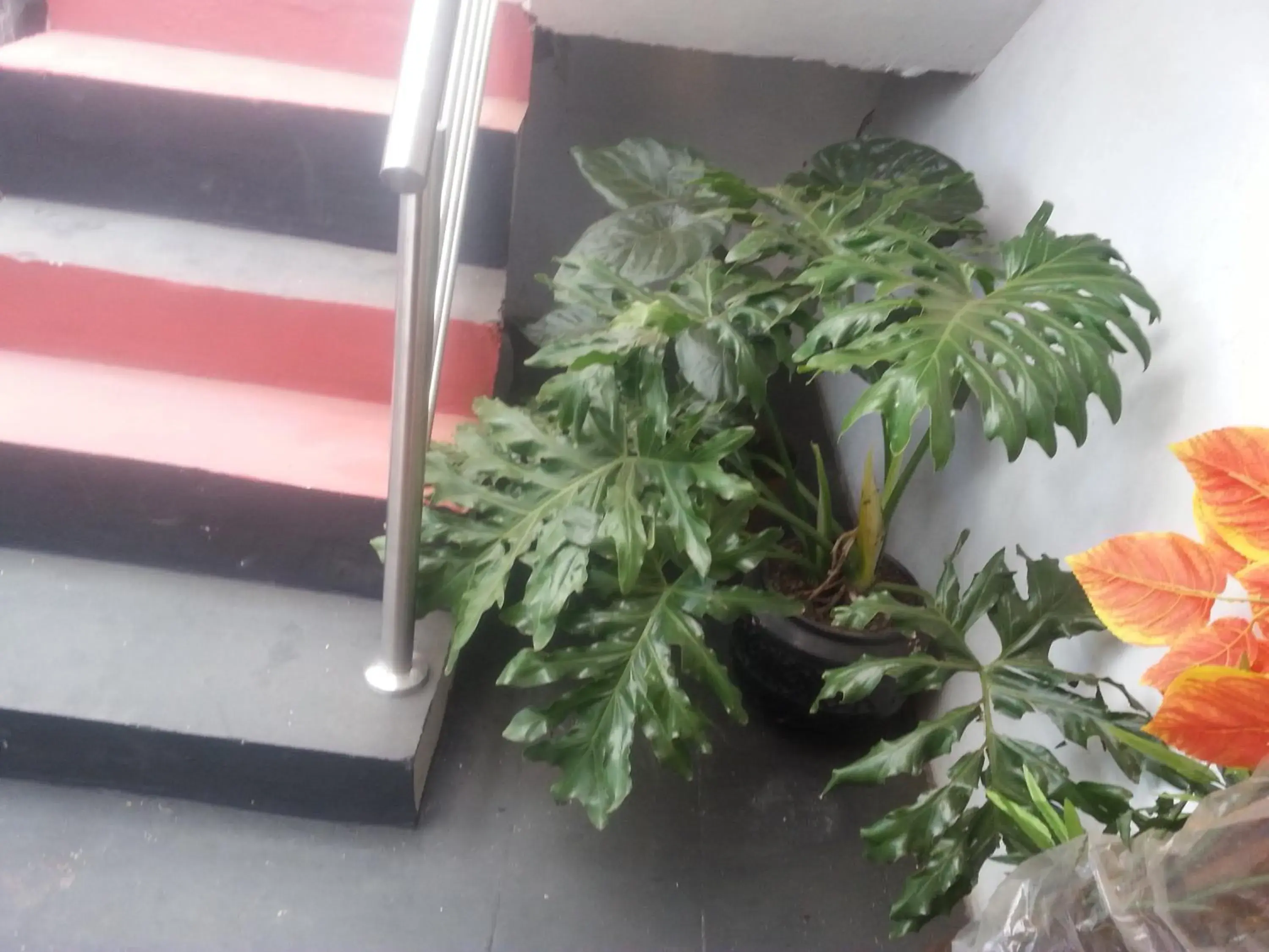 Double or Twin Room in Flossie B&B Double or Twin Room in Flossie B&B