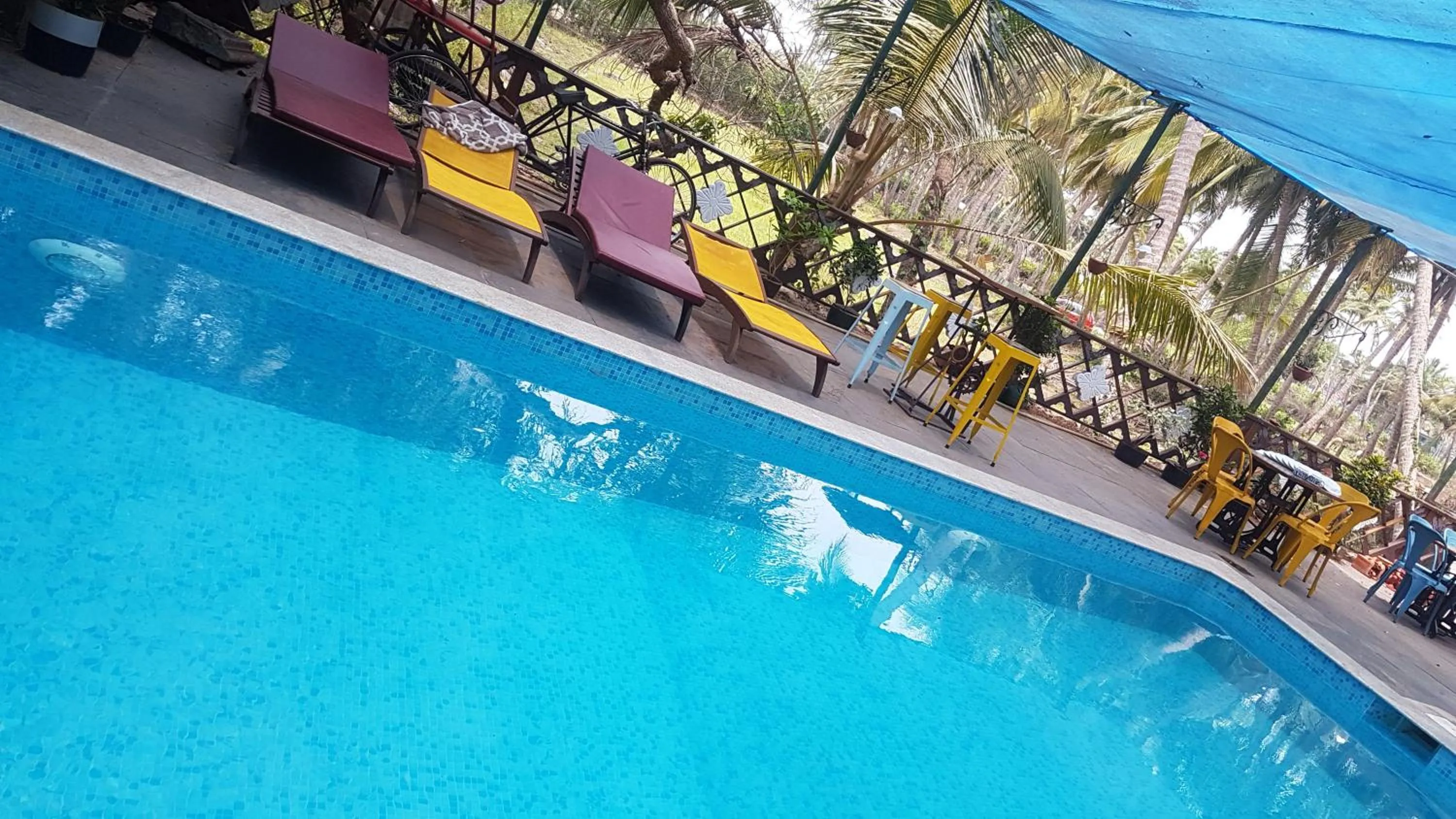 Swimming pool in Casa Menezes - A Heritage Goan Homestay