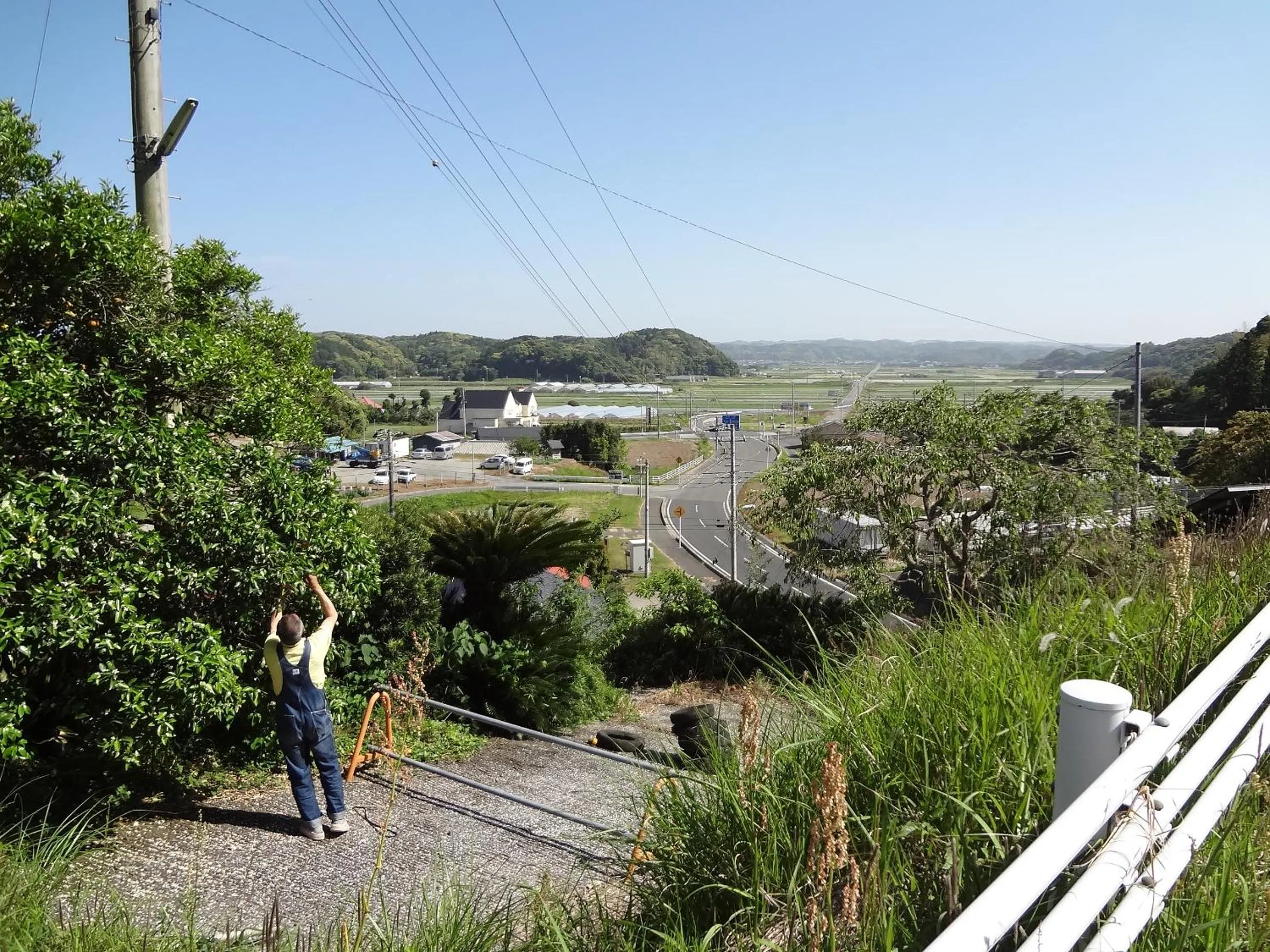 Natural landscape in Farm Inn Minamiboso