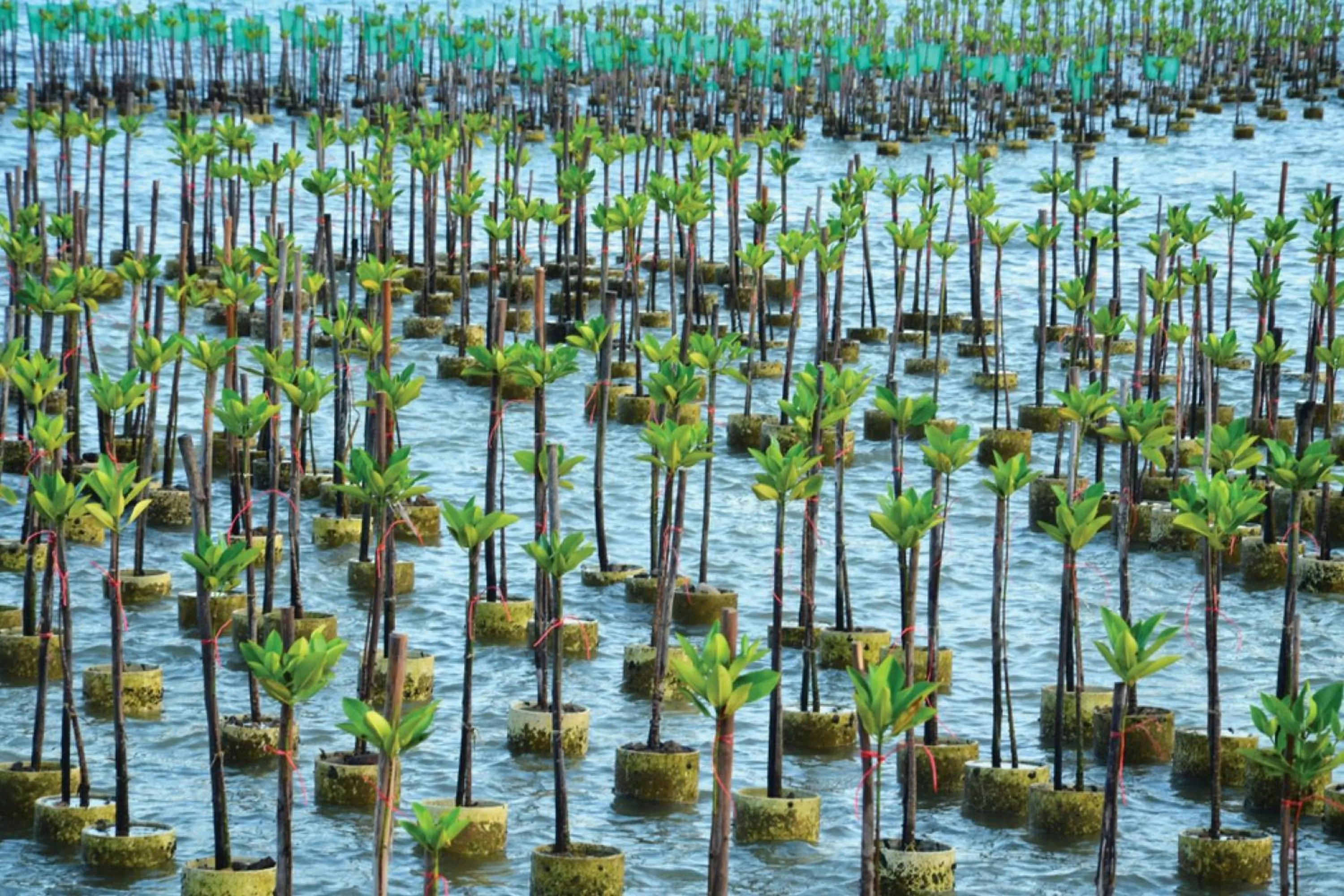 Other in The St. Regis Langkawi