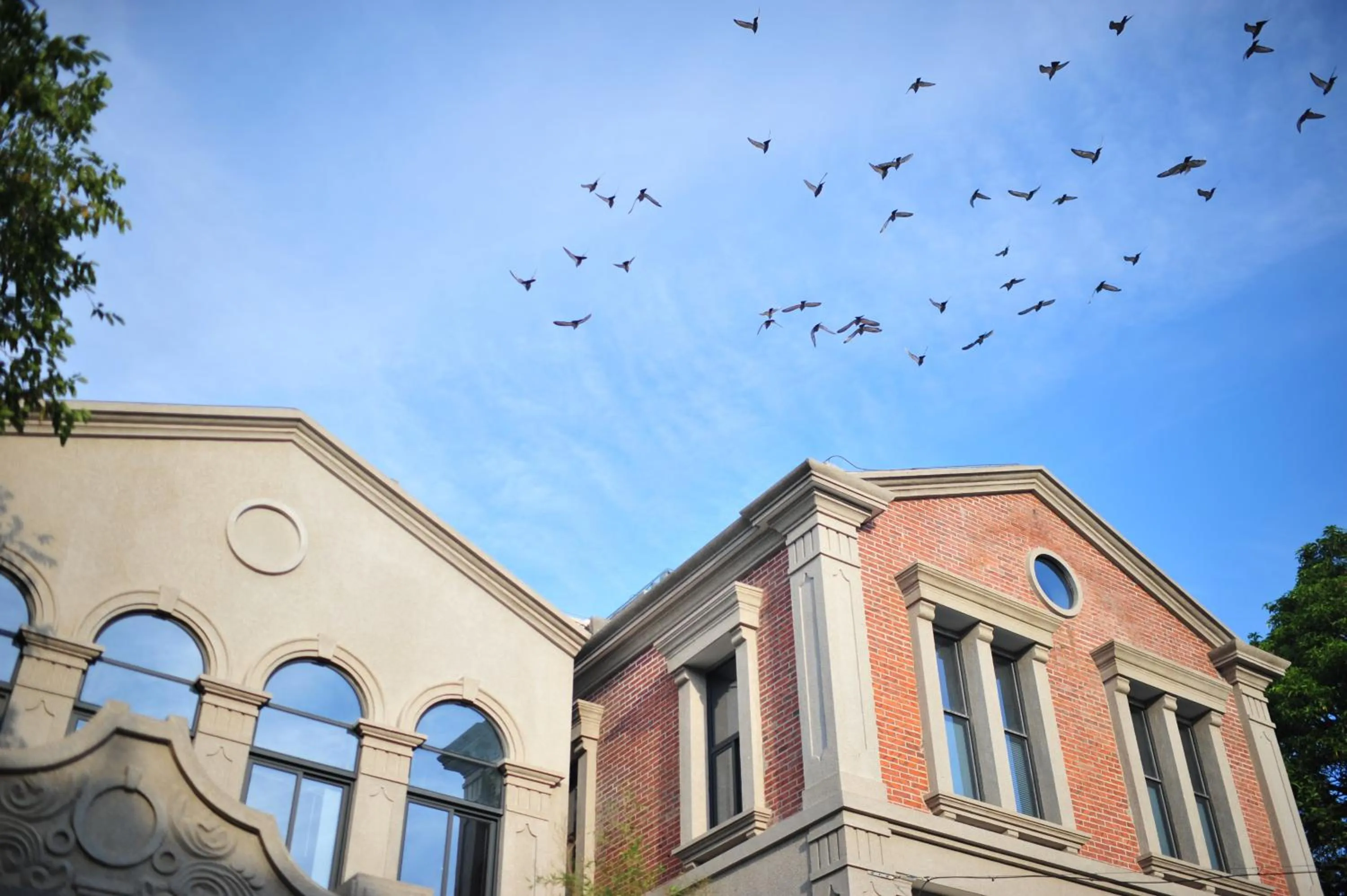 Other in Xiamen Gulangyu Heitan Hotel