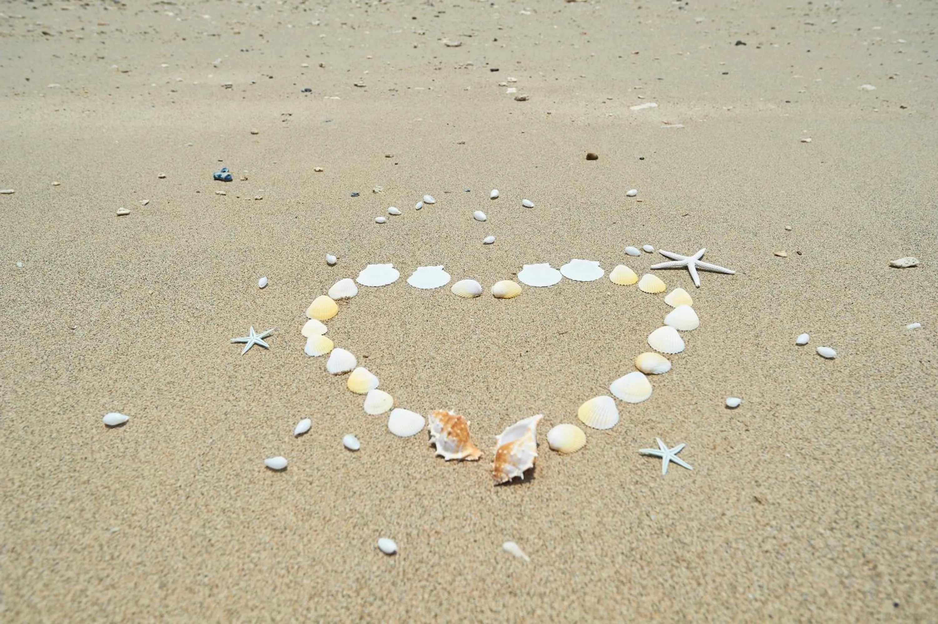 Beach in Hotel The Scene