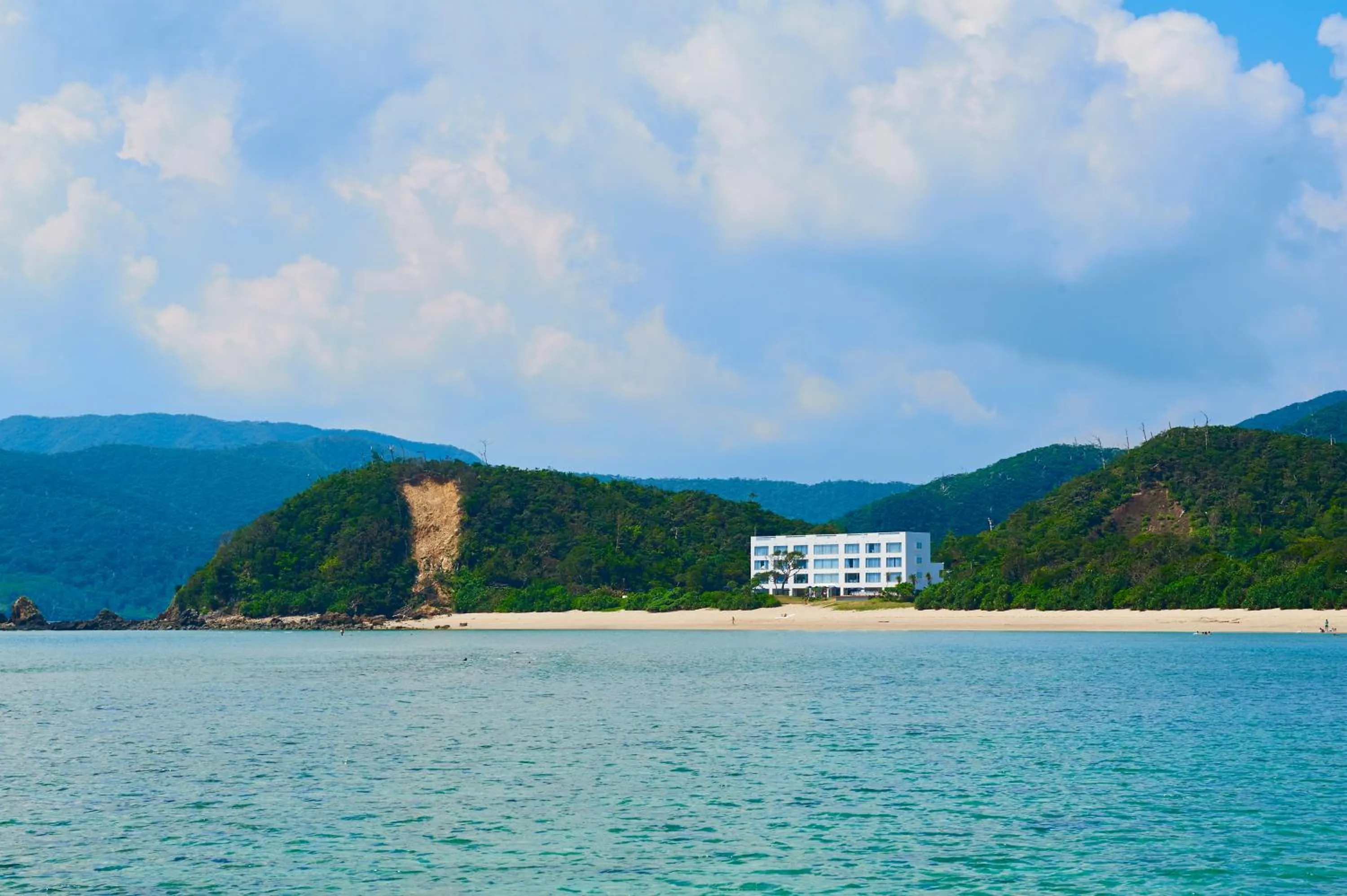 Day in Hotel The Scene