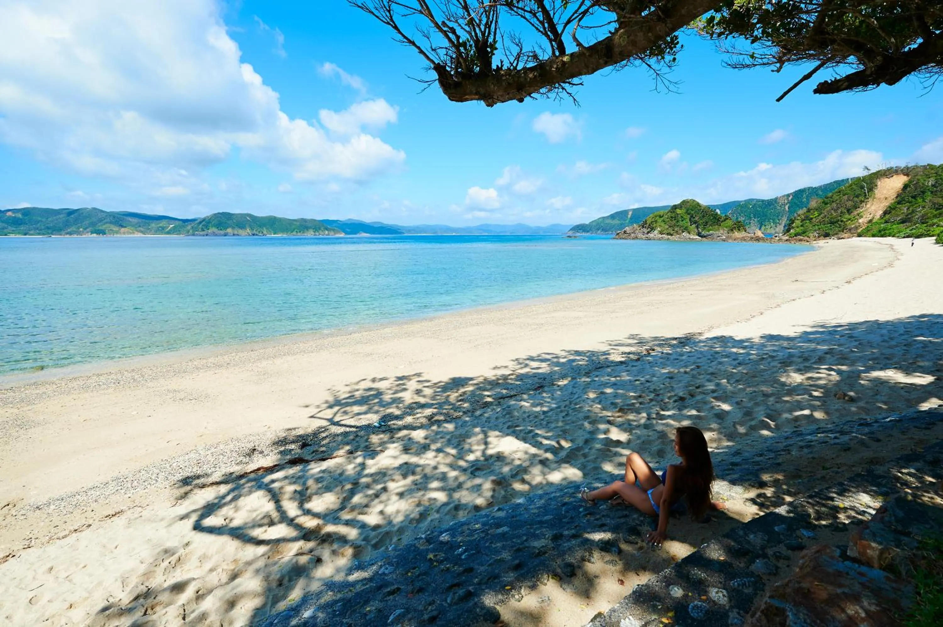 Day in Hotel The Scene