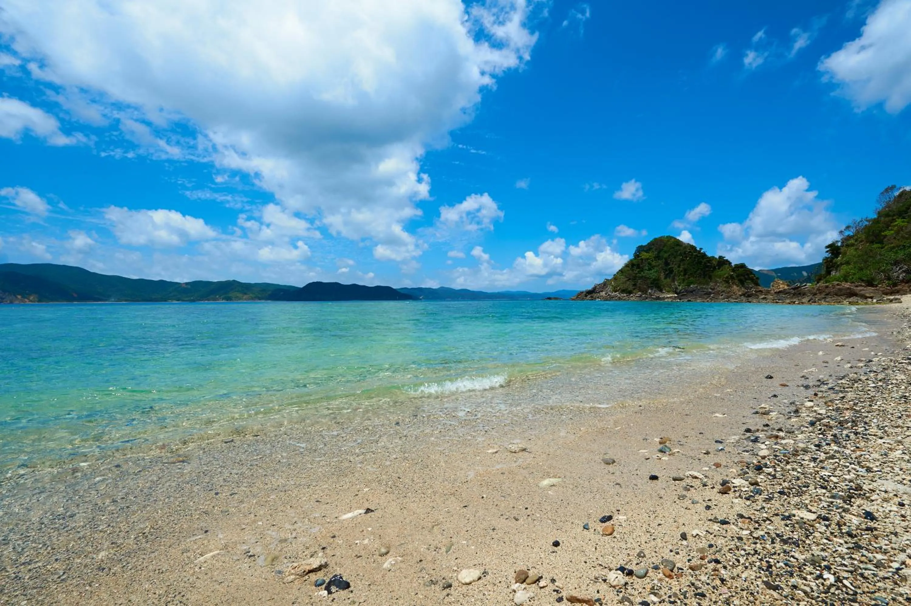 Day in Hotel The Scene