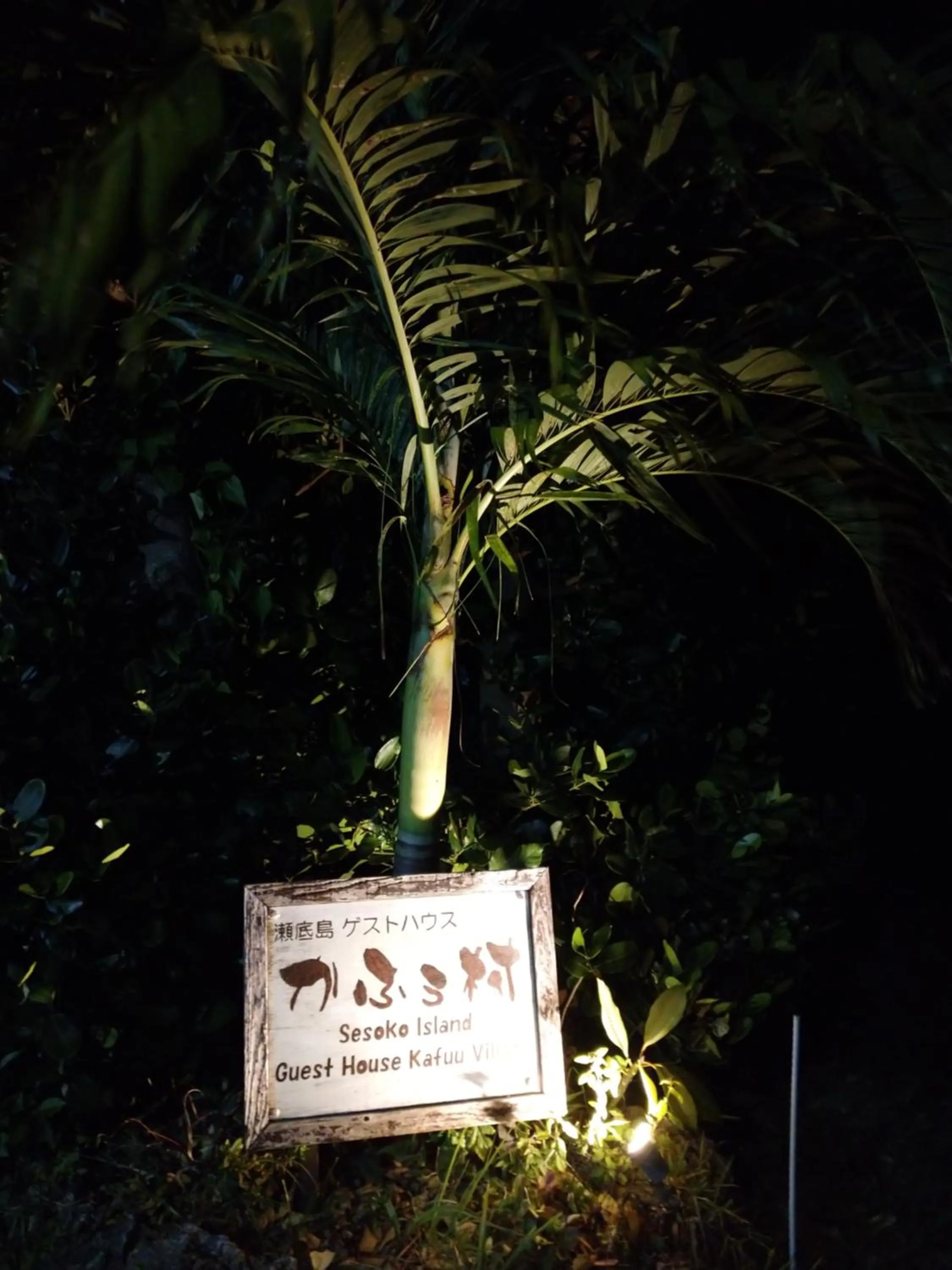 Property logo or sign in Sesoko Island Guest House Kafuu Village