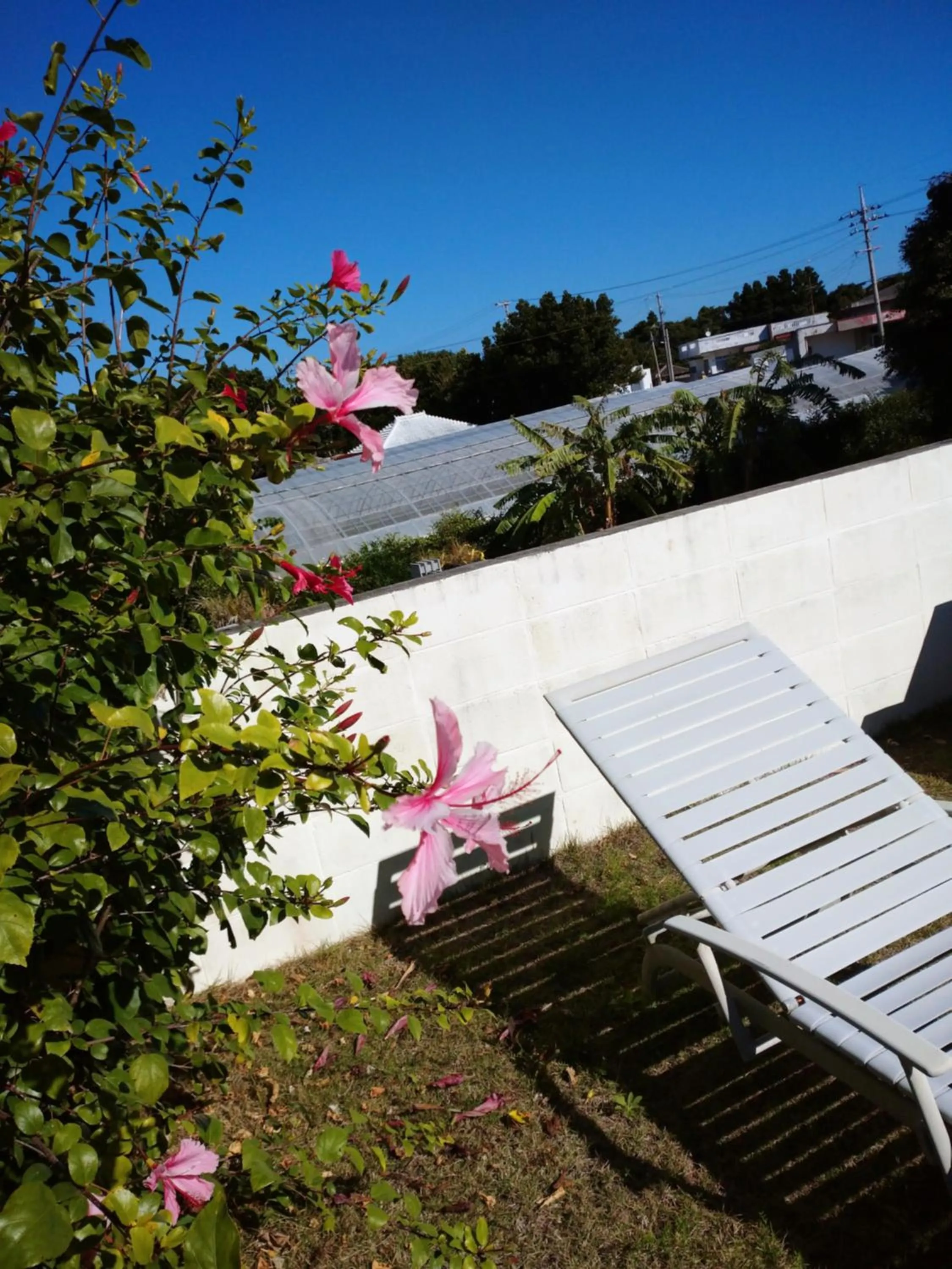 Balcony/Terrace in Sesoko Island Guest House Kafuu Village