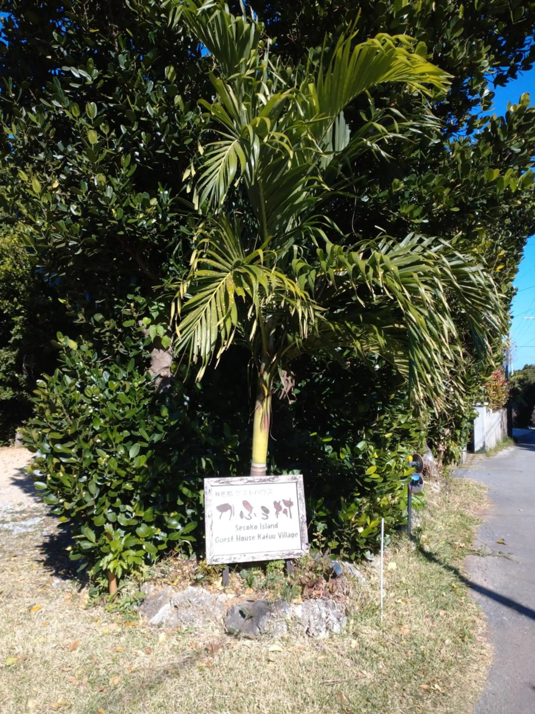 Parking in Sesoko Island Guest House Kafuu Village