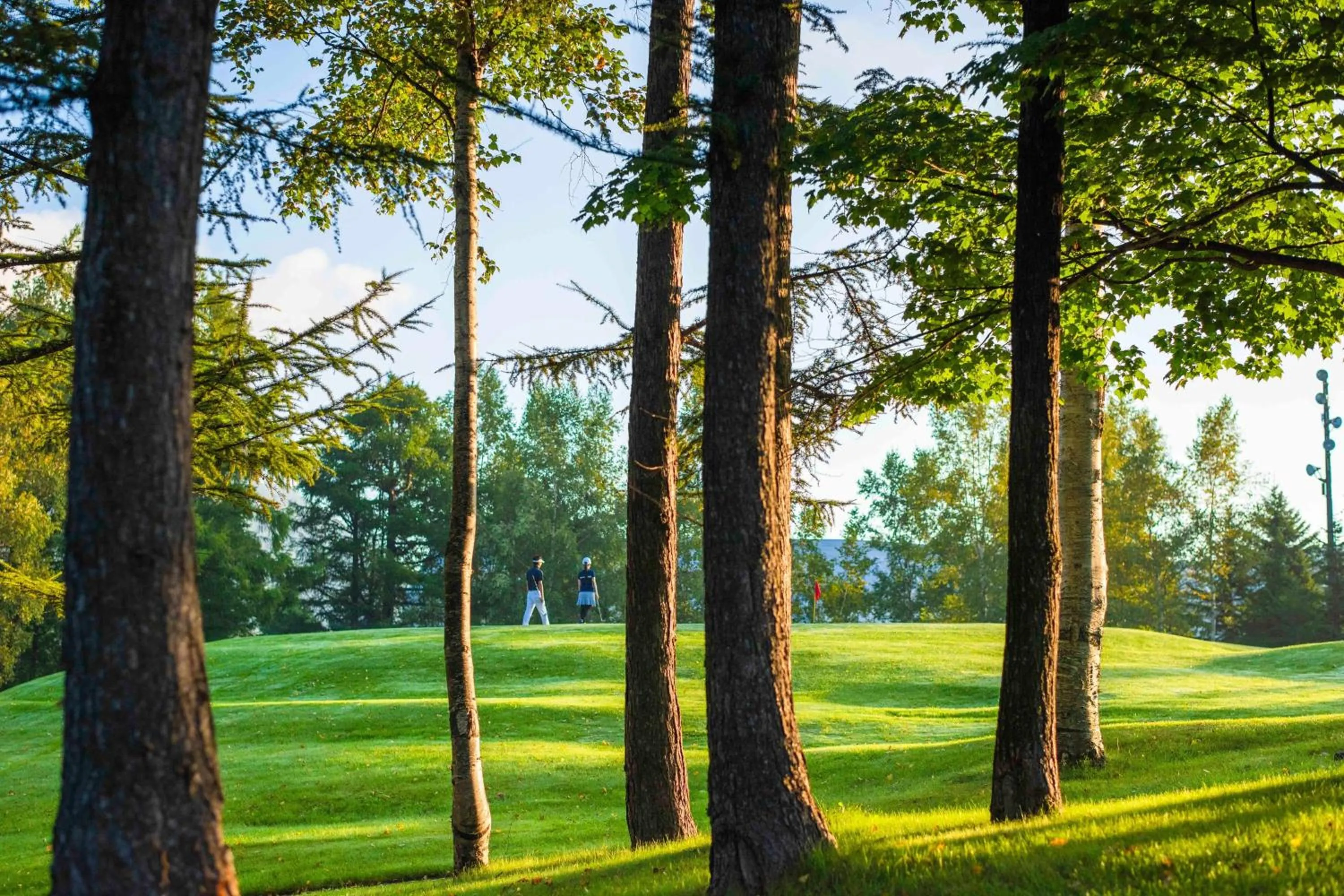 Other in The Westin Rusutsu Resort