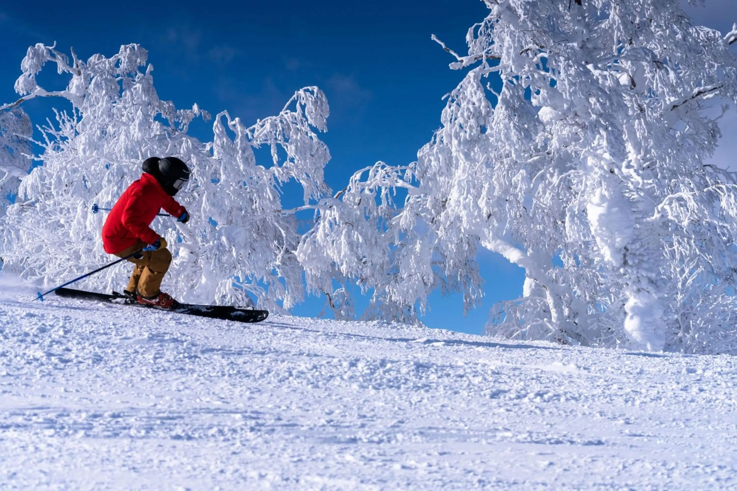Other in The Westin Rusutsu Resort