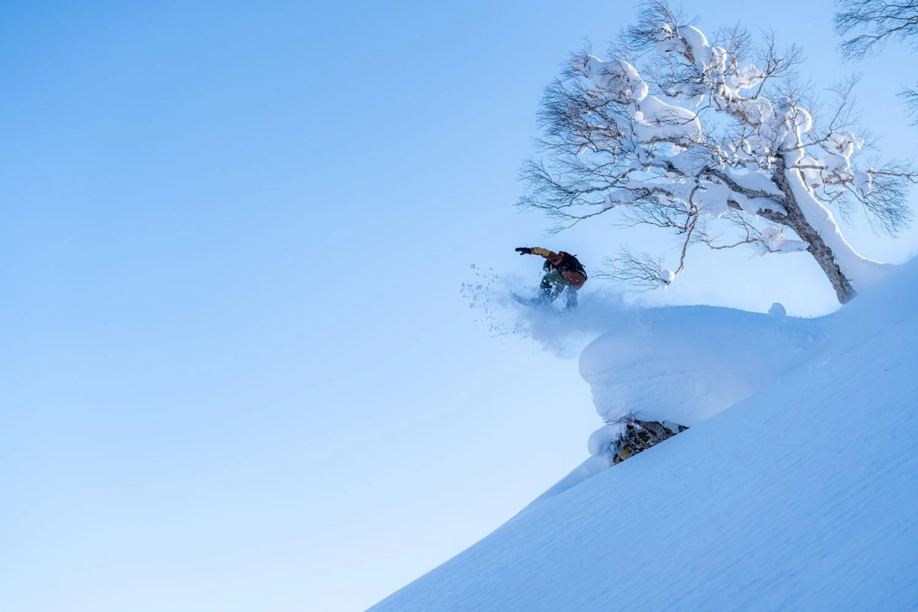 Other in The Westin Rusutsu Resort