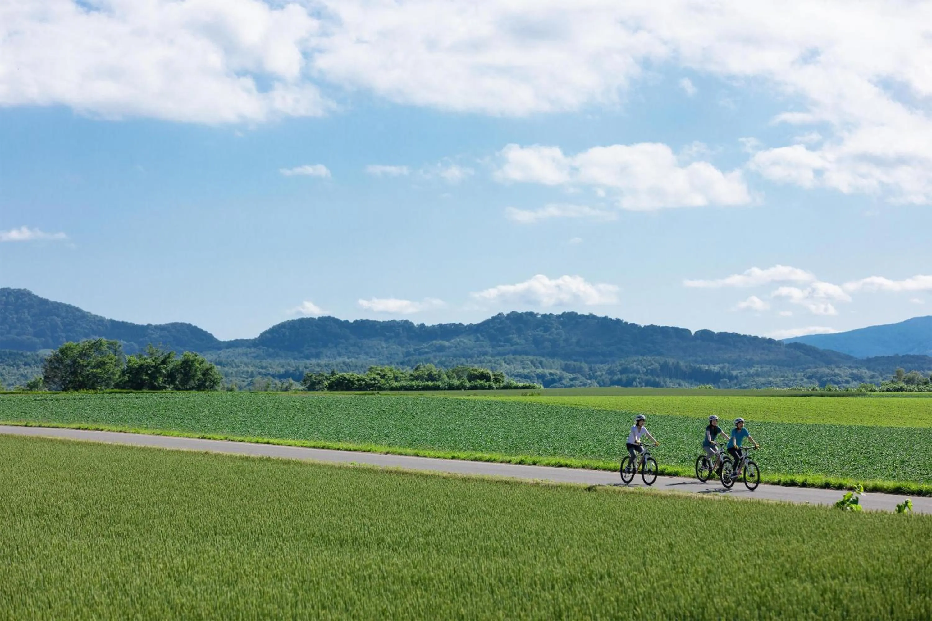 Other in The Westin Rusutsu Resort