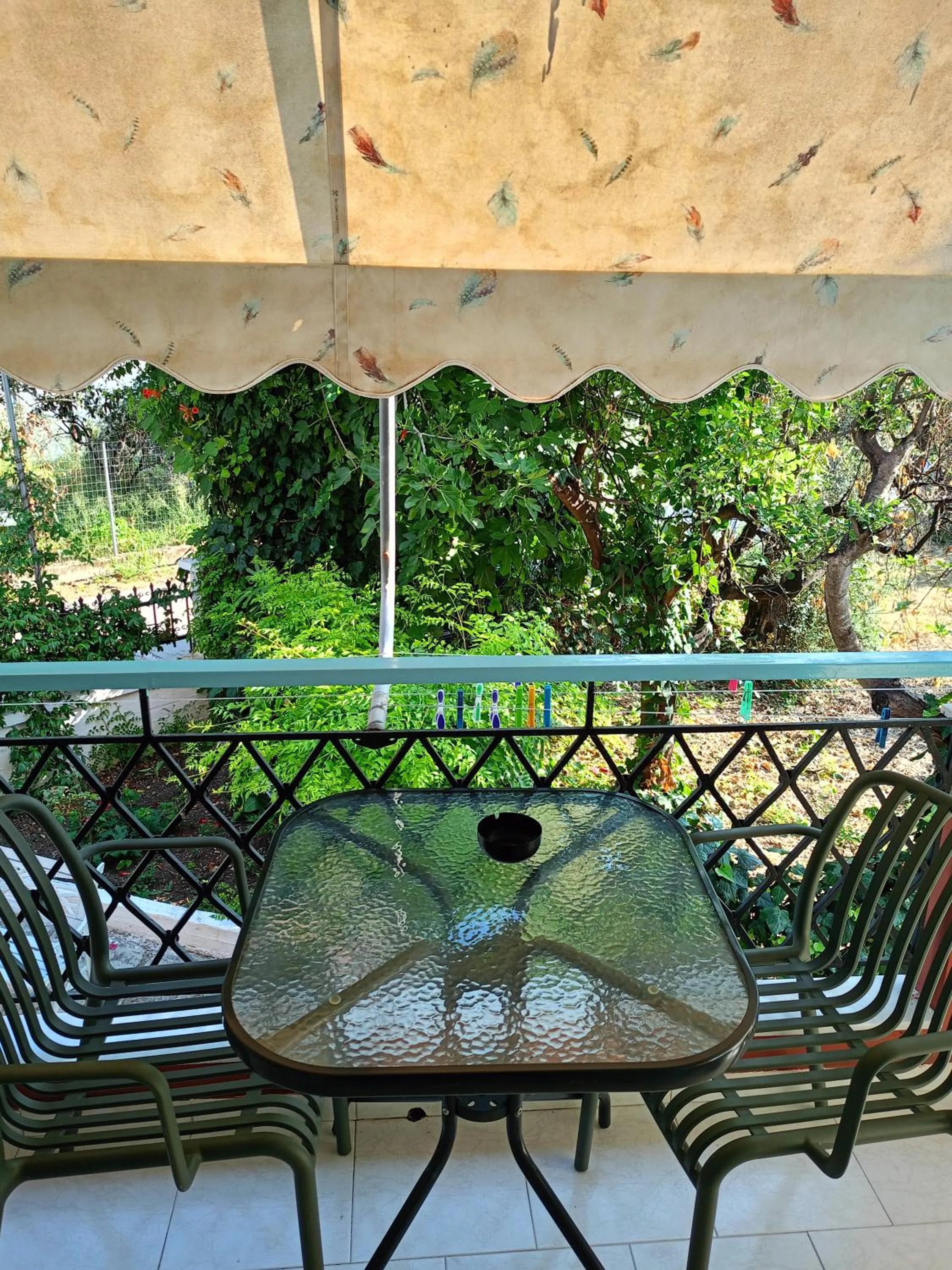 Balcony/Terrace in Apartments Filoxenia Zois