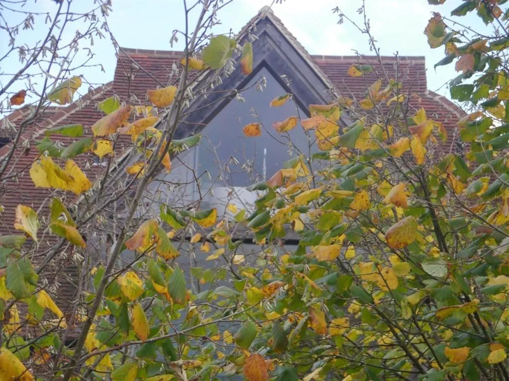 View (from property/room) in Hurst Farm B&B