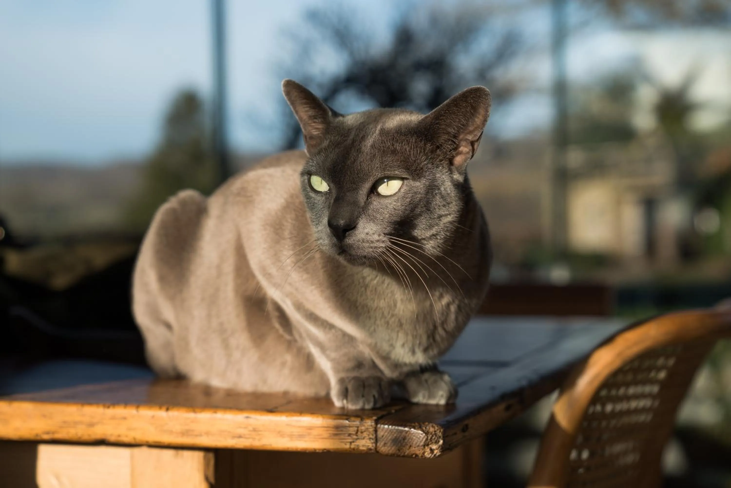 Other in Hurst Farm B&B