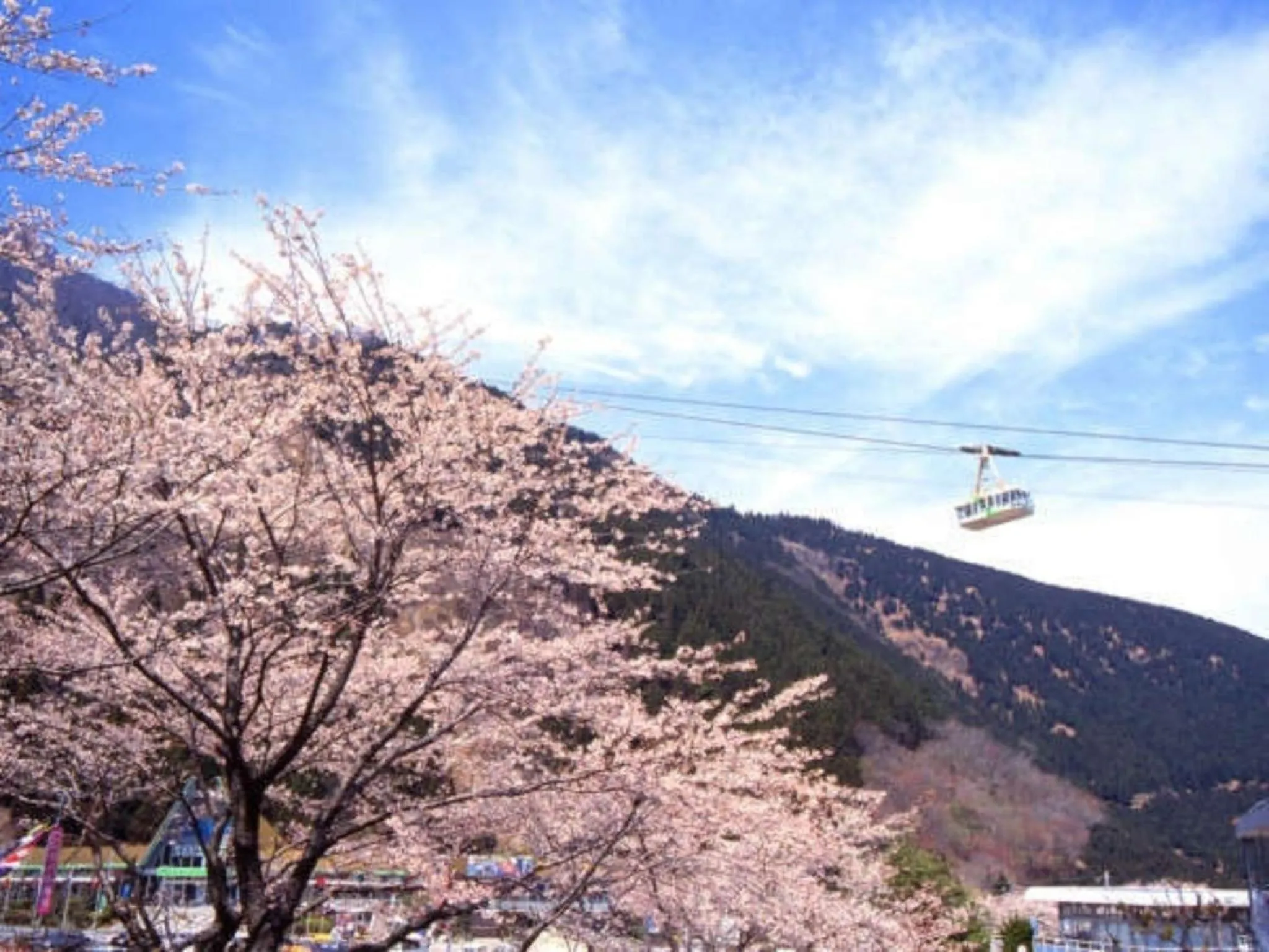 Entertainment in Kannawaso