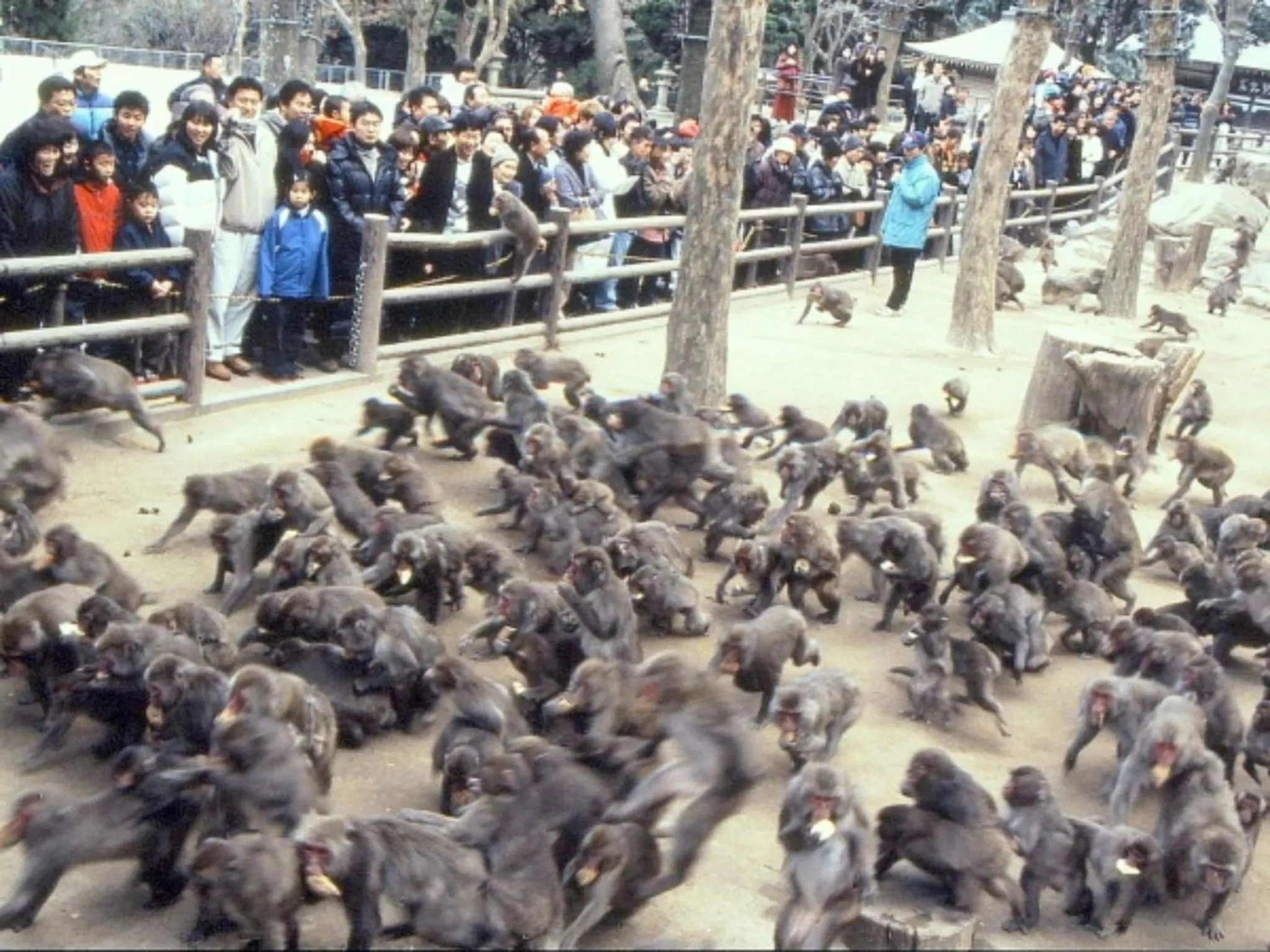 Entertainment in Kannawaso