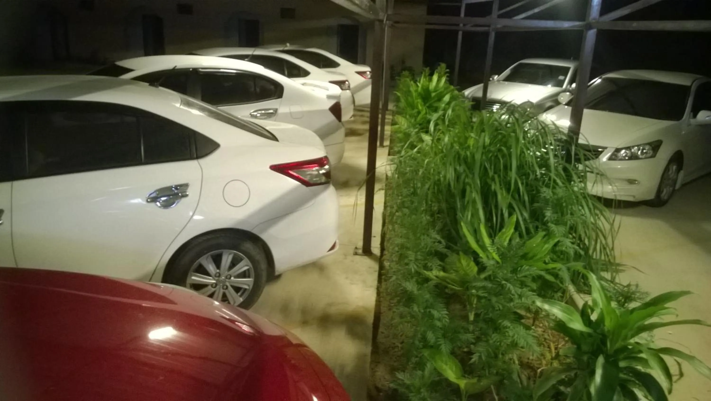 Area and facilities in Banana Resort Sadao