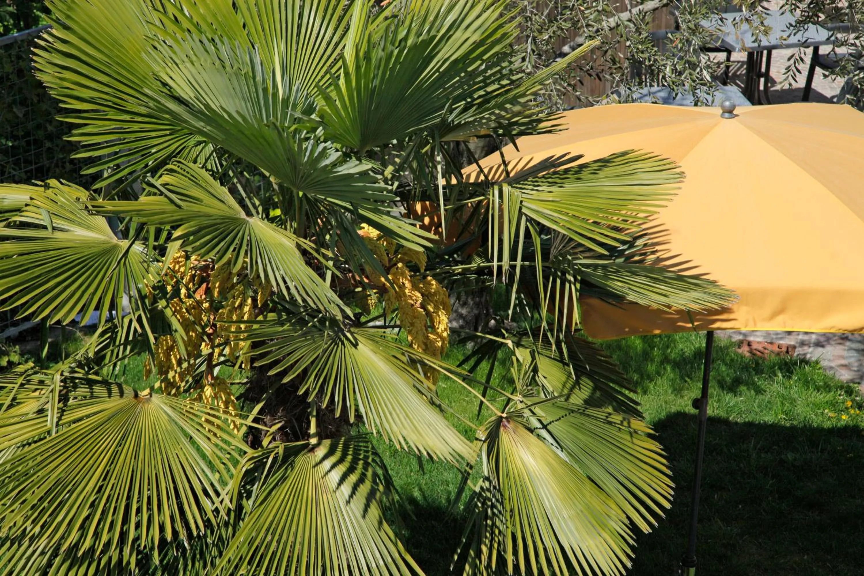 Facade/entrance in Hotel Jardis