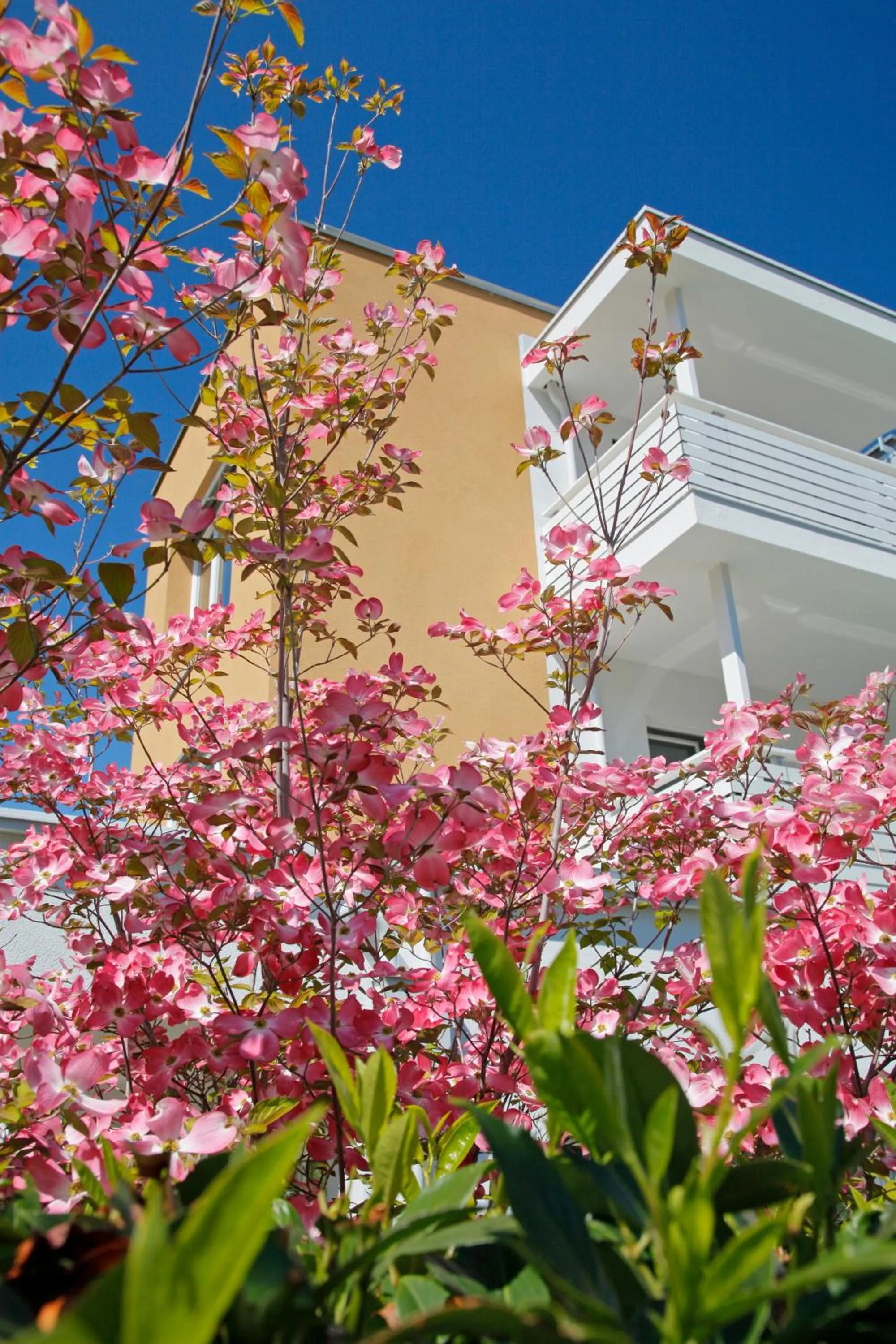 Facade/entrance in Hotel Jardis