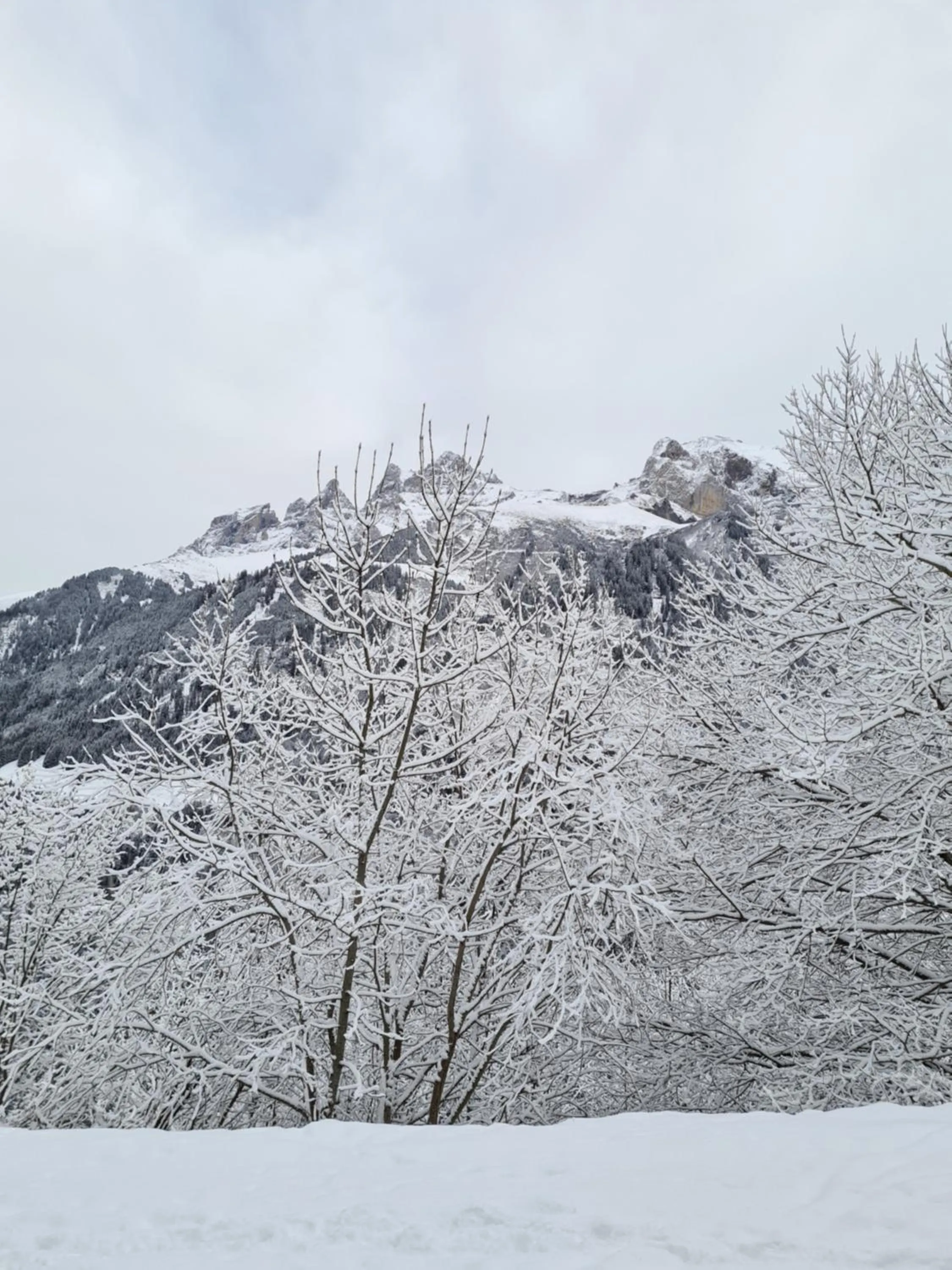 Natural landscape in Hôtel Le White - Le 42 Restaurant