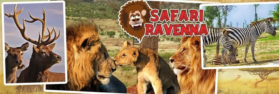 Property logo or sign in Hotel Sorriso