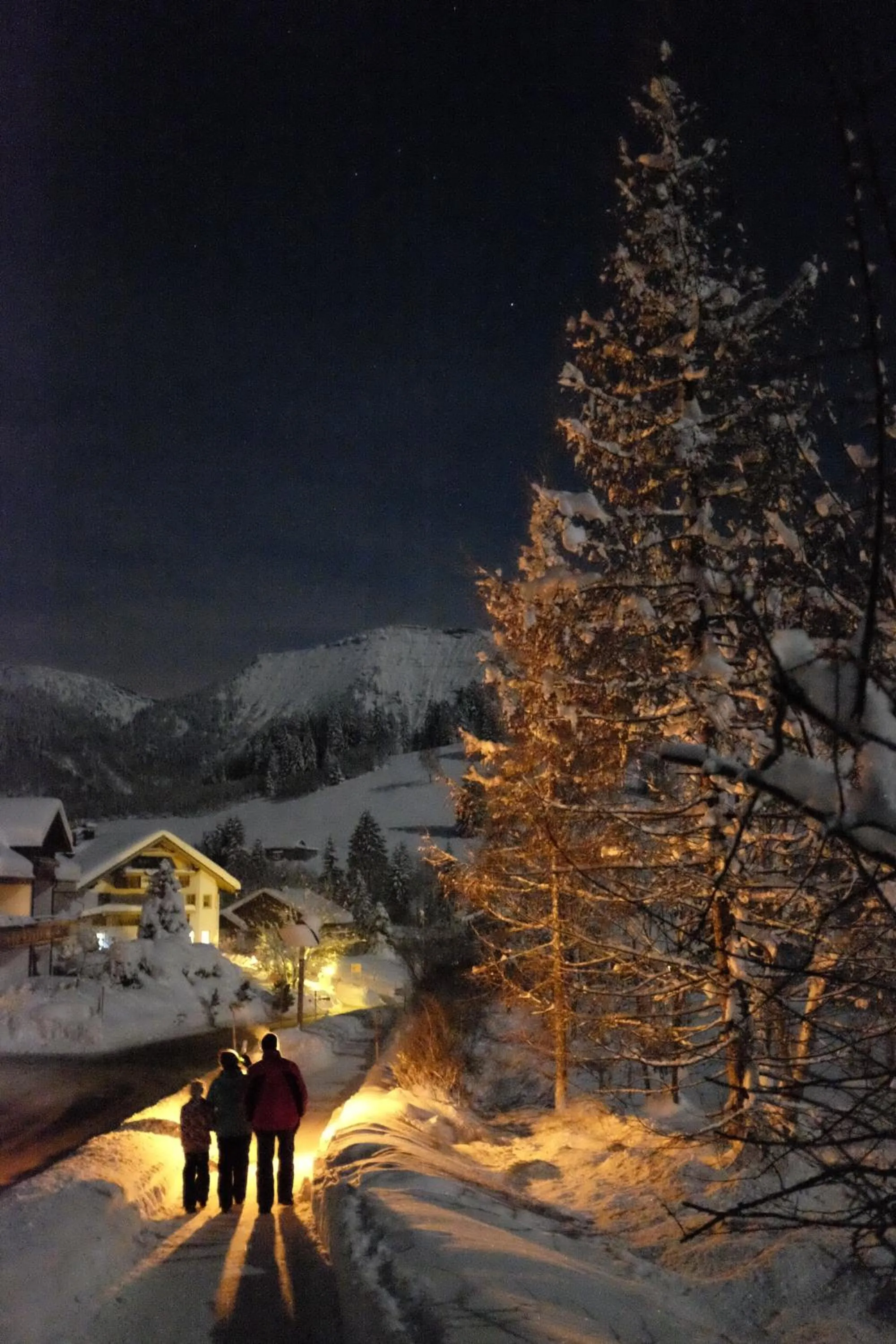 Winter in Berghüs Schratt - EINFACH ANDERS - Ihr vegetarisches und veganes Biohotel
