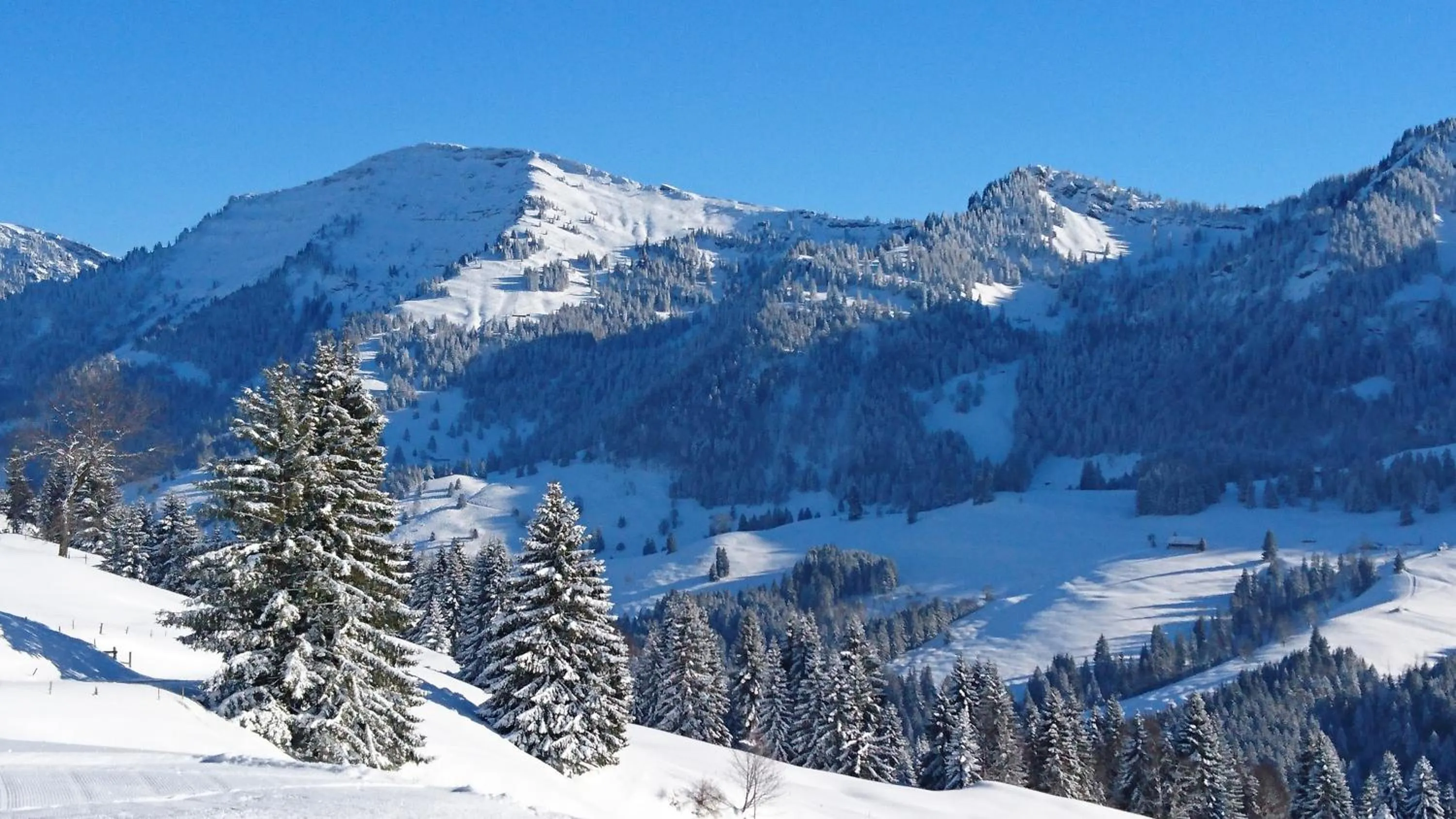 Winter in Berghüs Schratt - EINFACH ANDERS - Ihr vegetarisches und veganes Biohotel