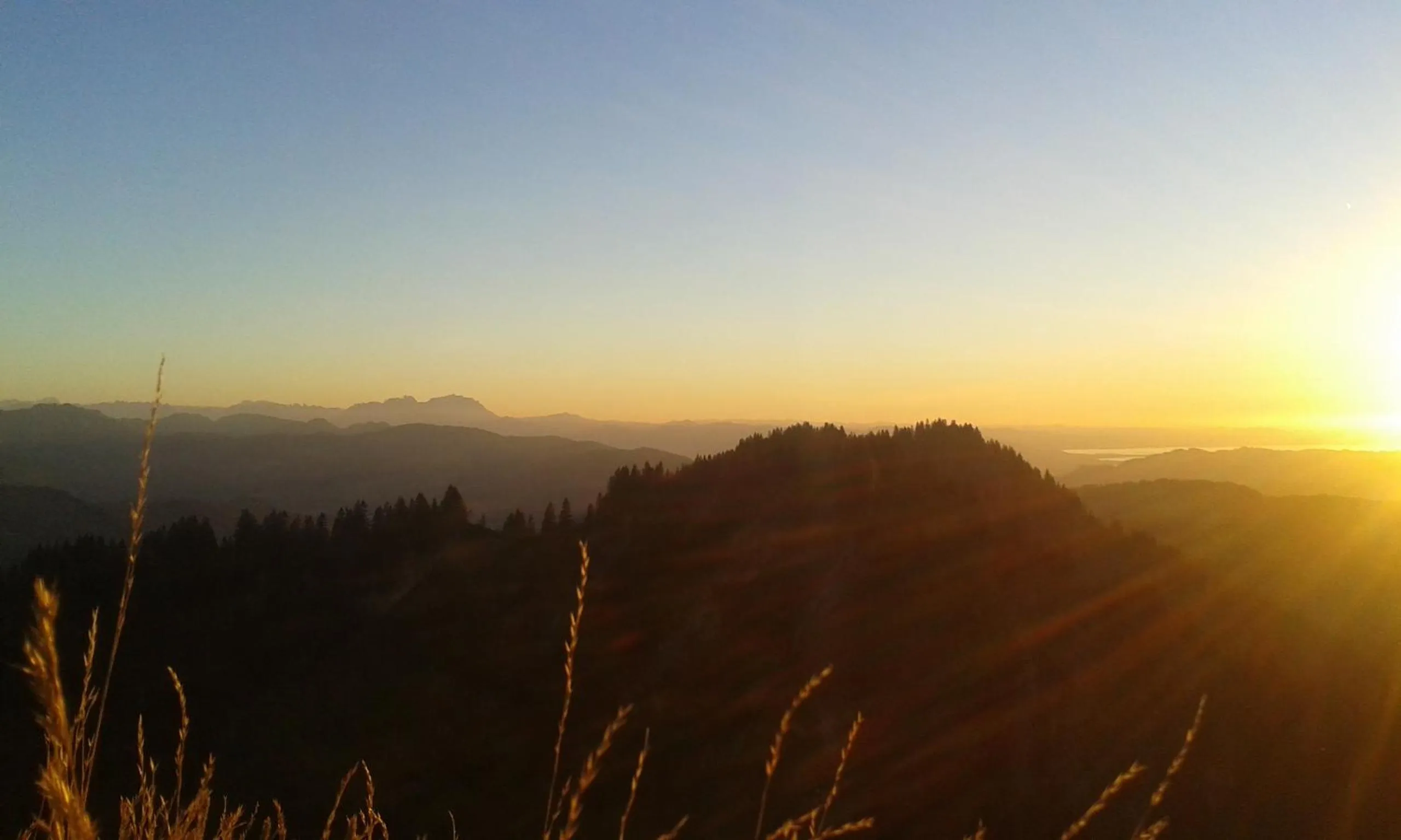 Natural landscape in Berghüs Schratt - EINFACH ANDERS - Ihr vegetarisches und veganes Biohotel