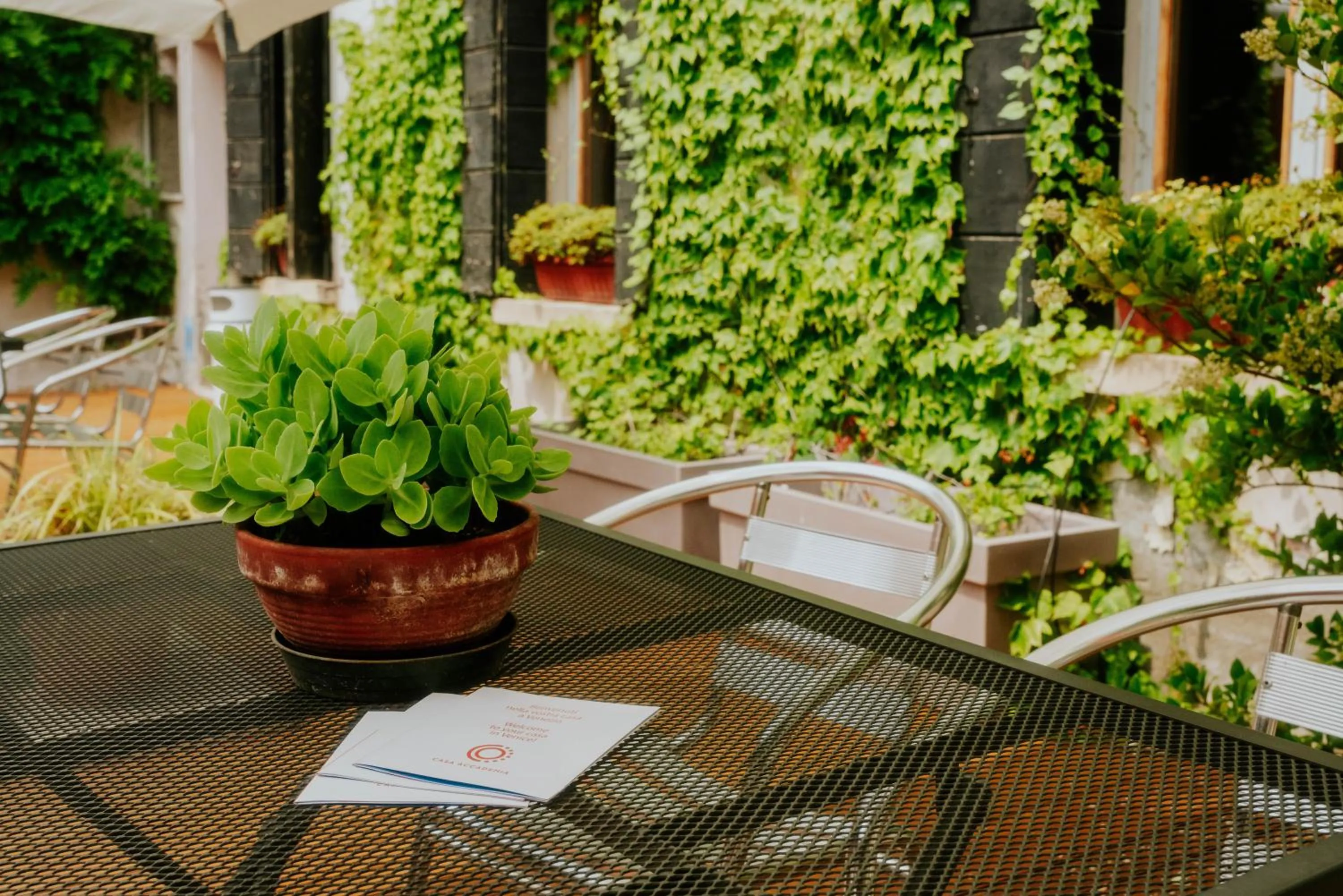 Patio in Casa Accademia