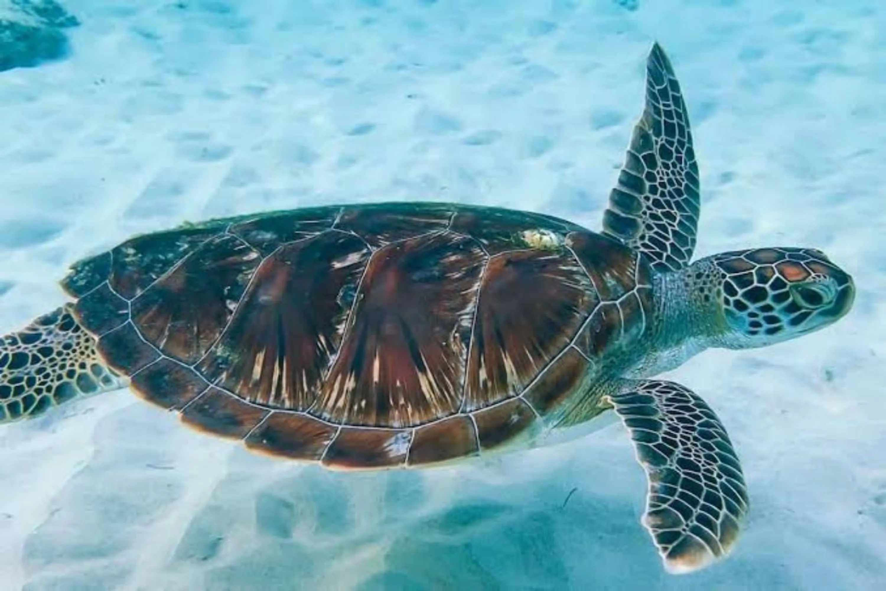 Area and facilities in Gusung Indah Bungalow Gili Air