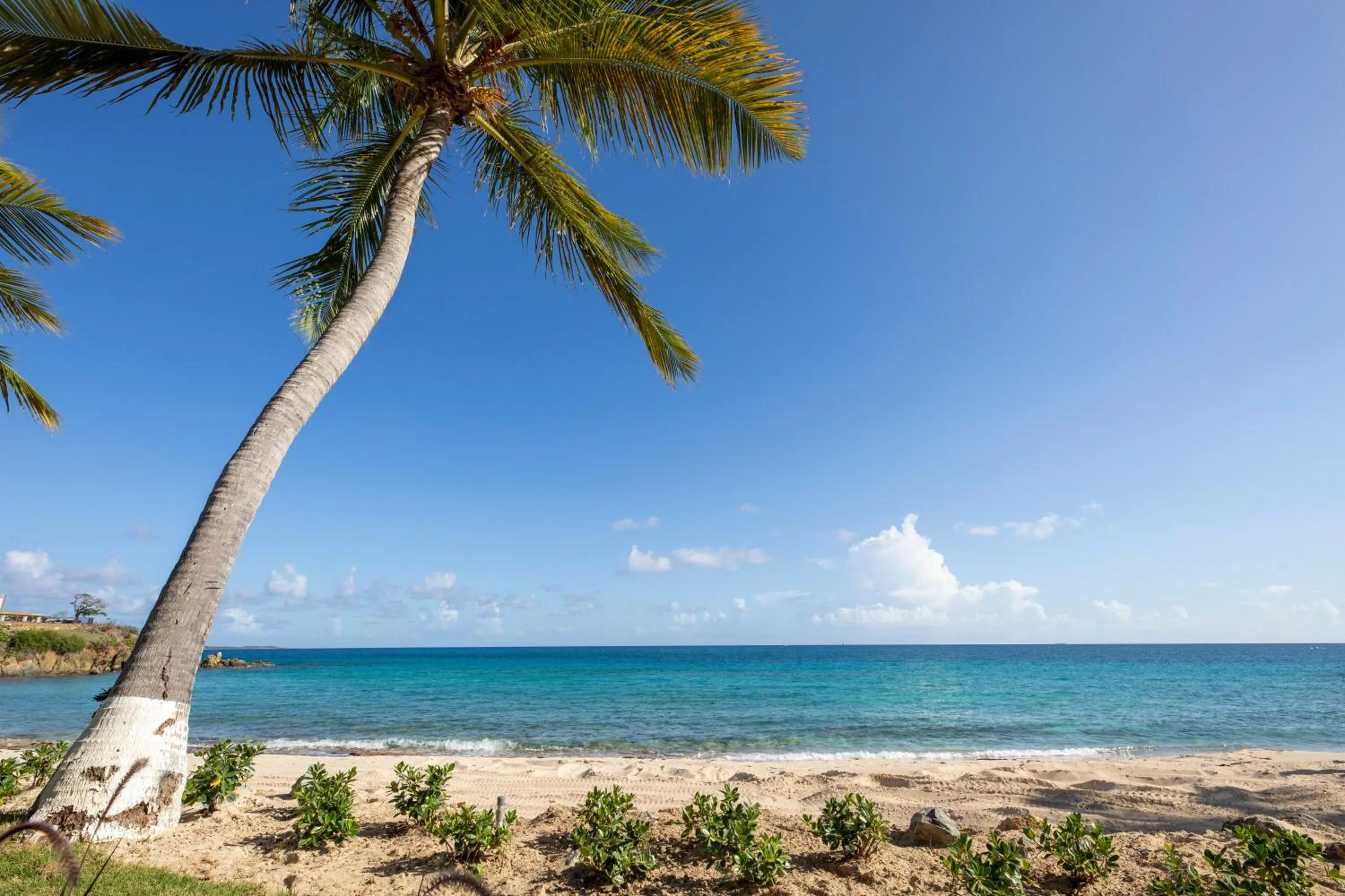 Beach in Limetree Beach Resort by Club Wyndham