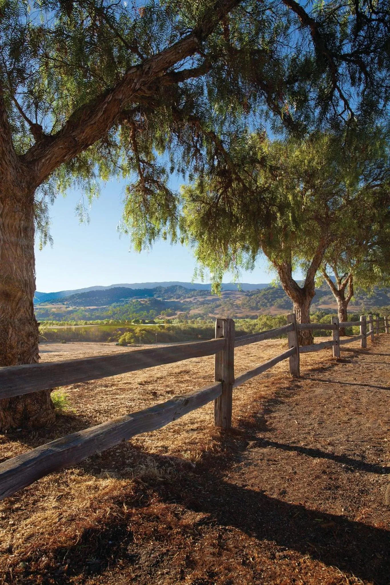 Nearby landmark in WorldMark Solvang