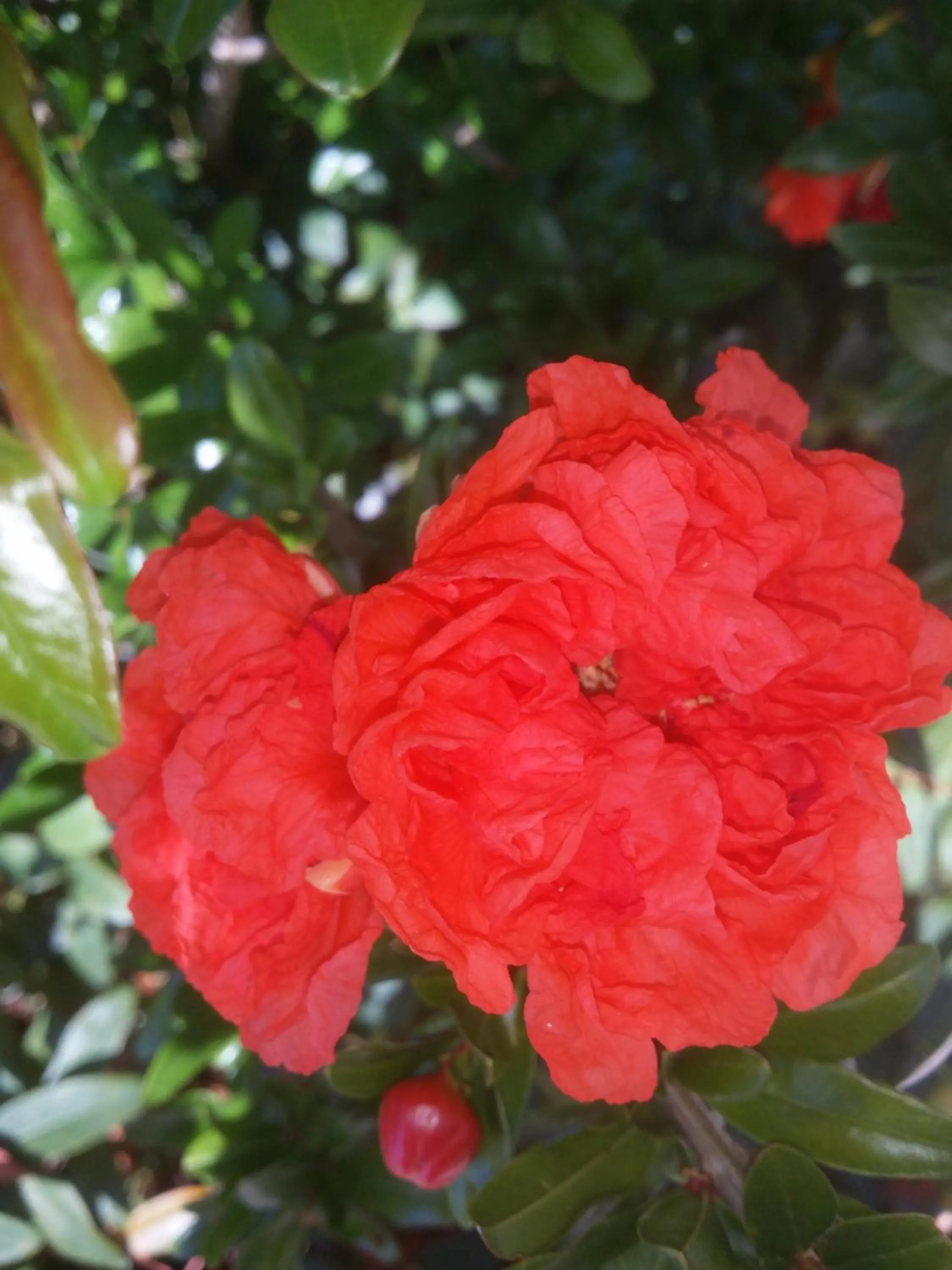 Chambres D'hôtes Anne-Marie